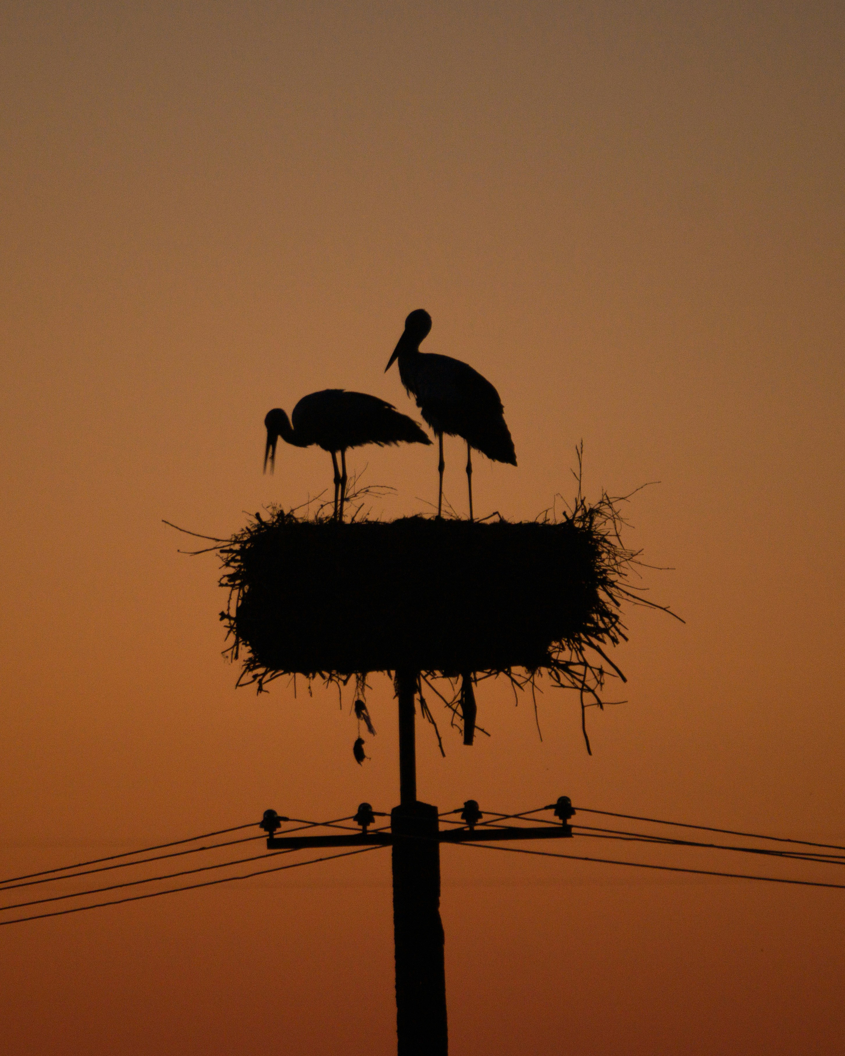 Photo by lindachrphotography