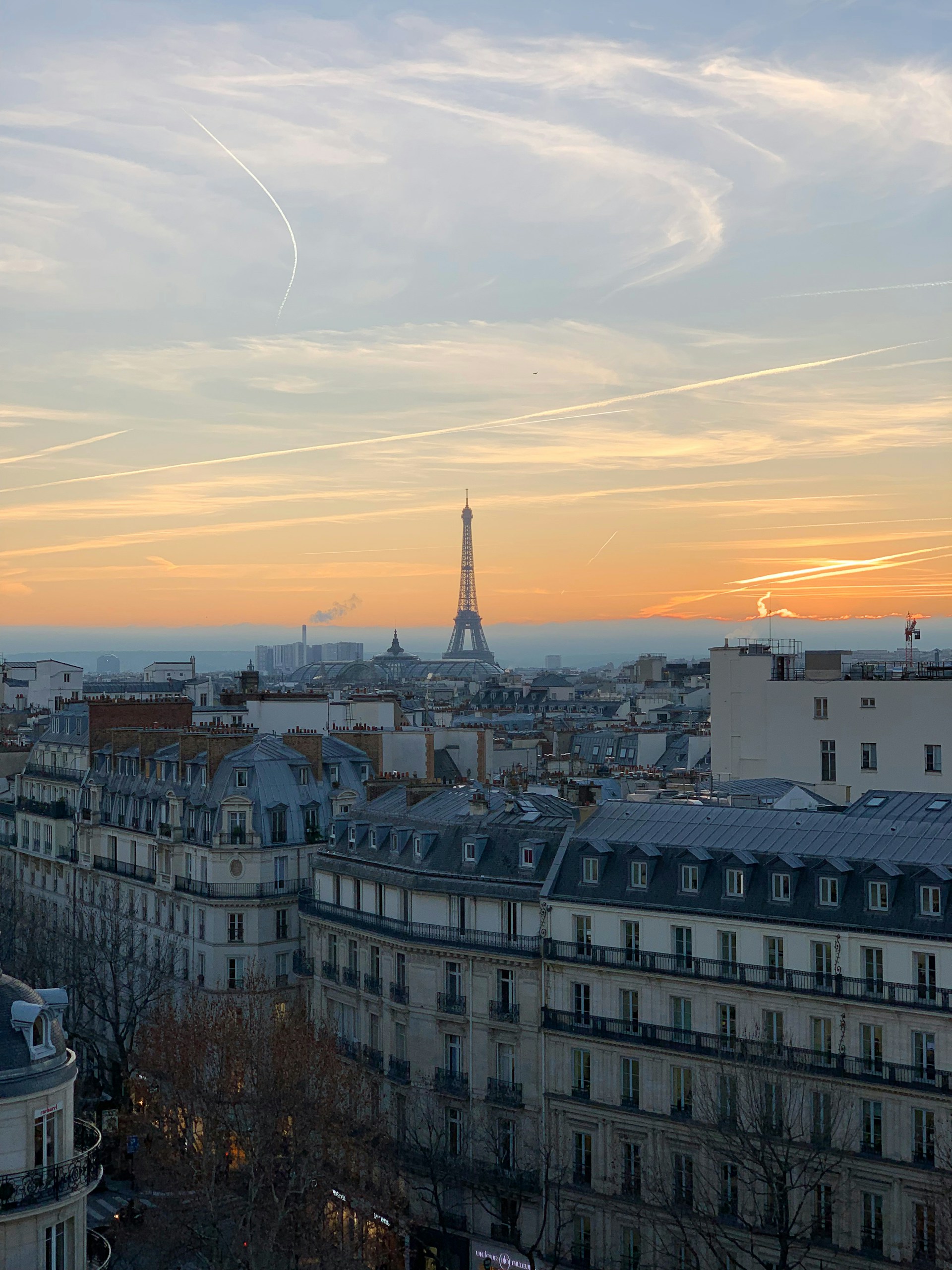 the eiffel tower towering over the city of paris