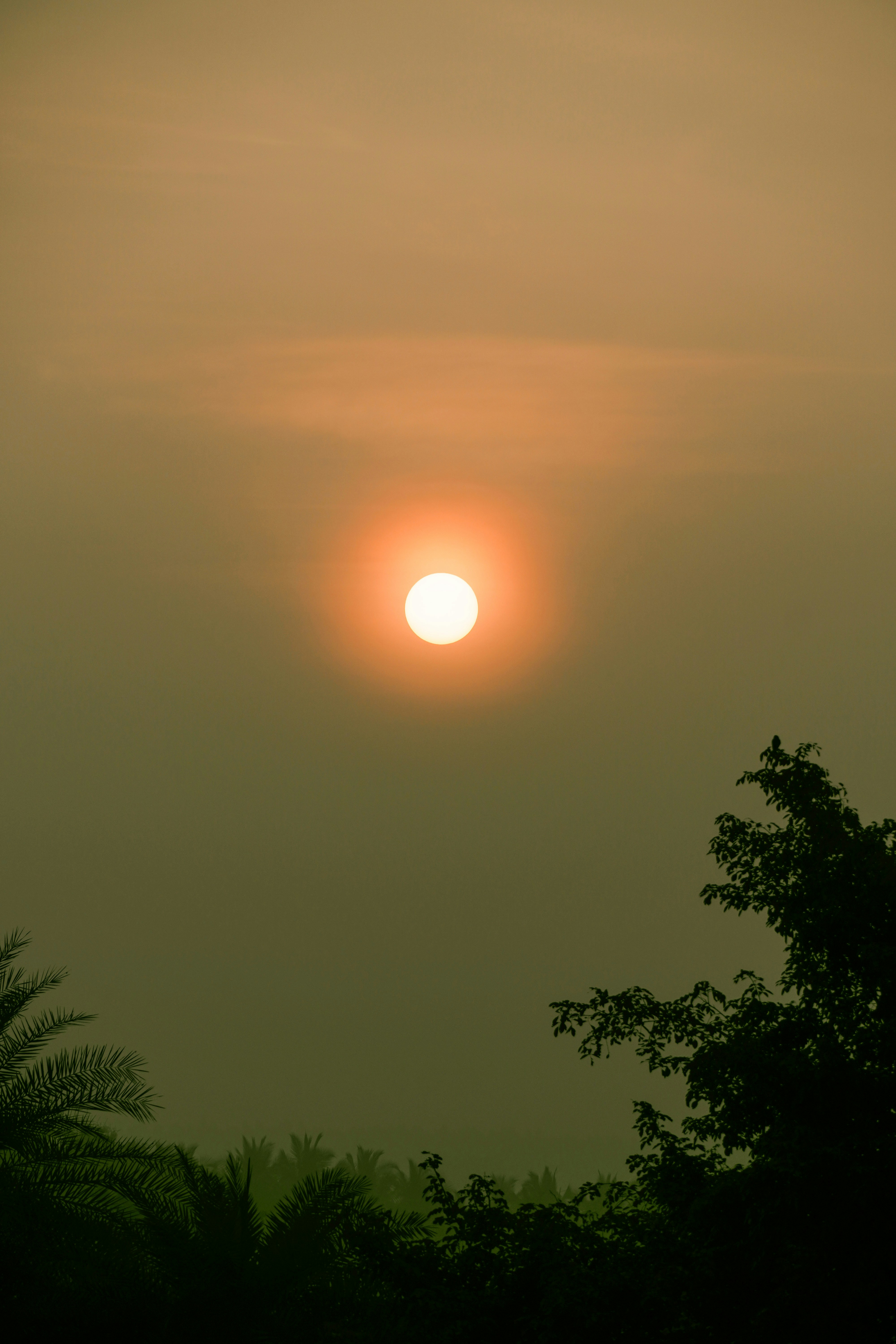 Photo by ashok_bravo