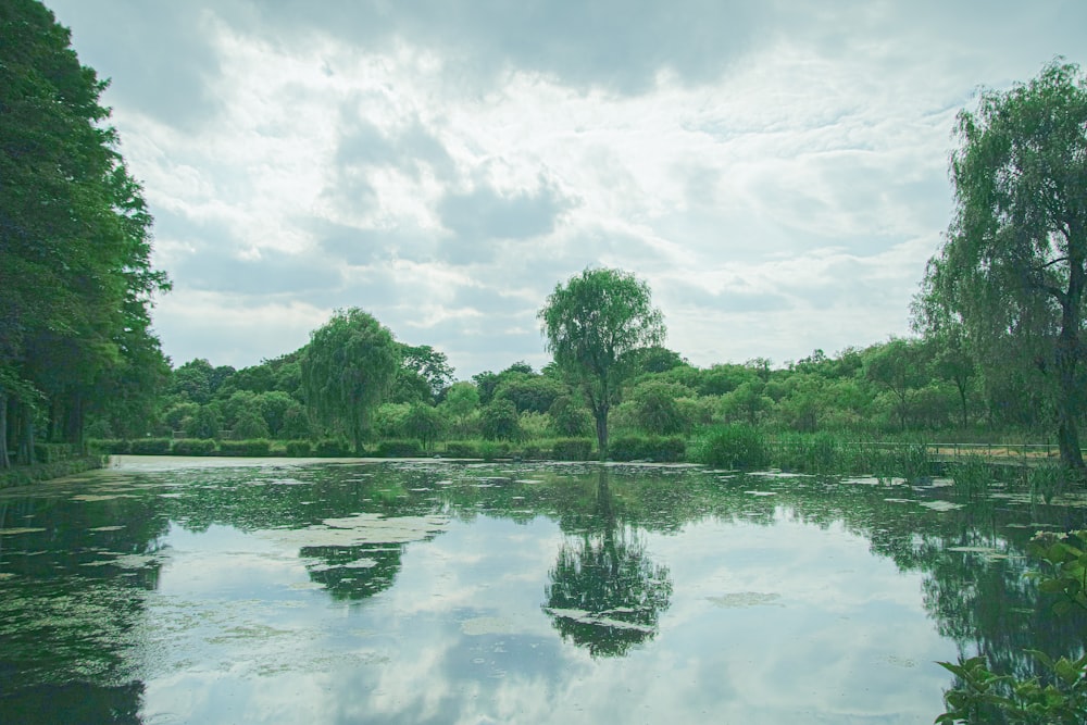 a body of water surrounded by trees and clouds