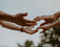 Two pairs of hands reaching out across a cozy park bench in autumn.
