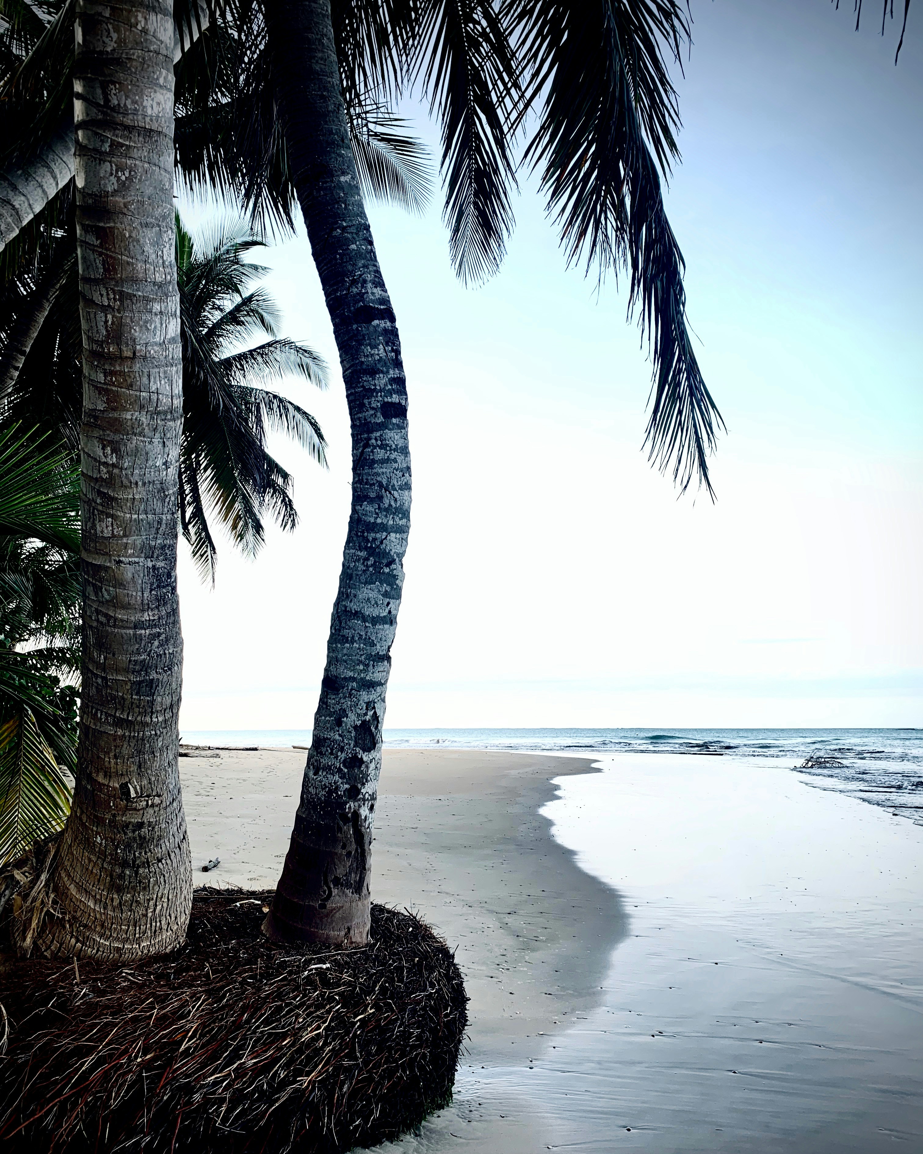 Photo by blondeperegrina