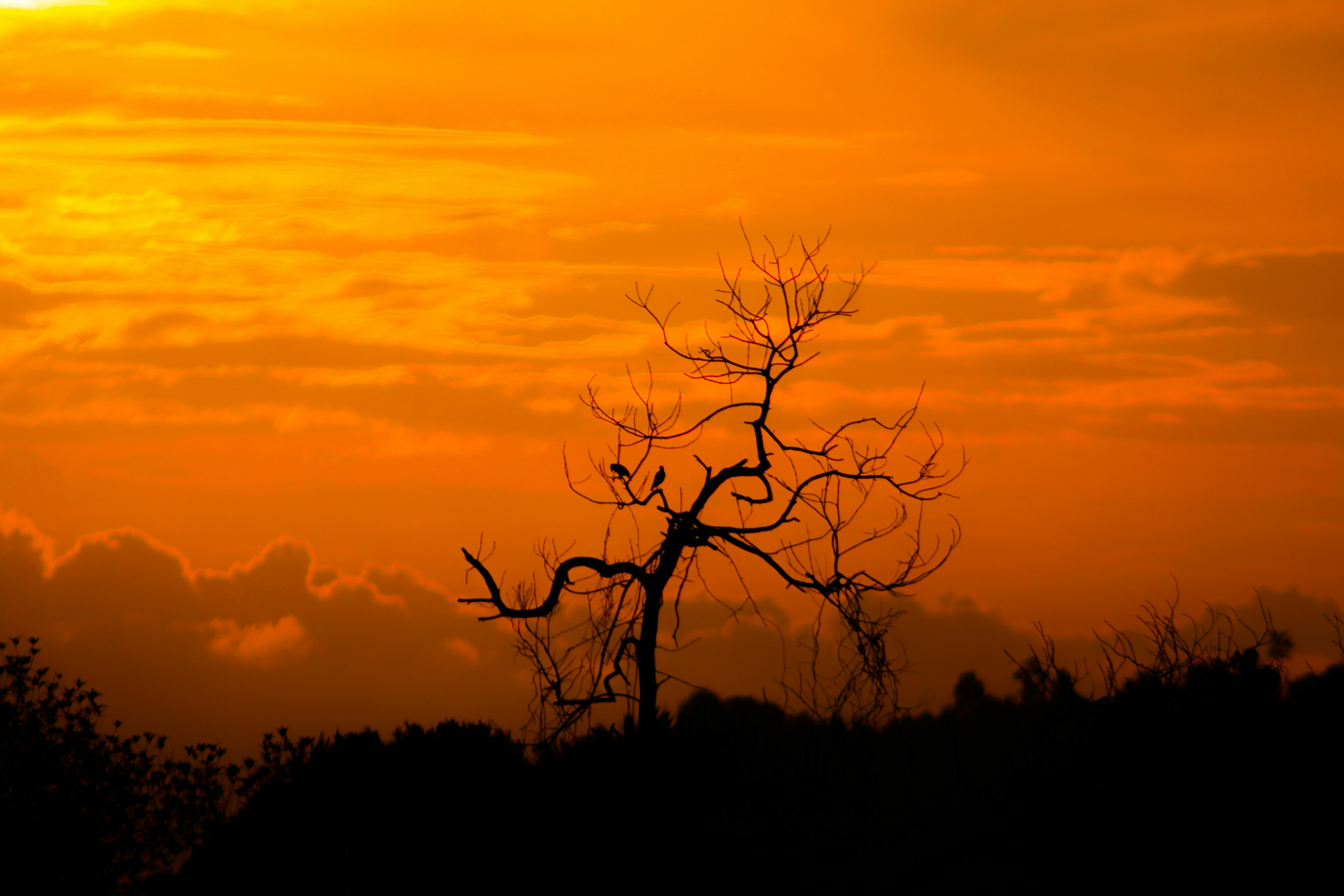 Photo by arrumiphotography