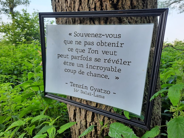 A motivational quote in French written on a chalkboard surrounded by study materials.