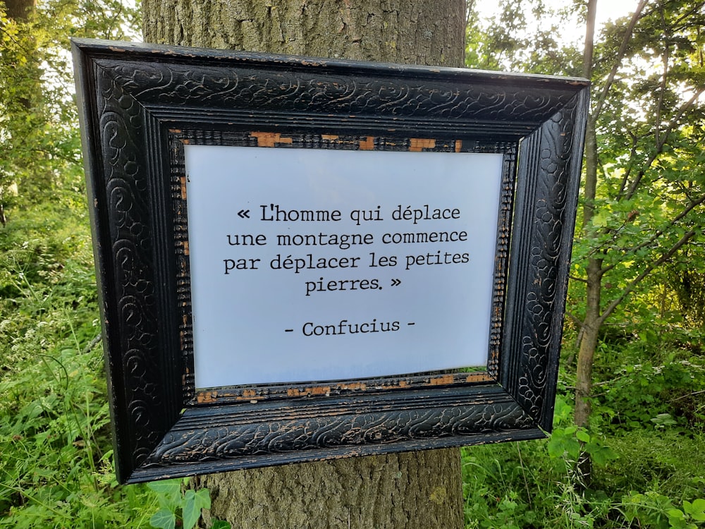 a picture frame hanging on a tree in a forest