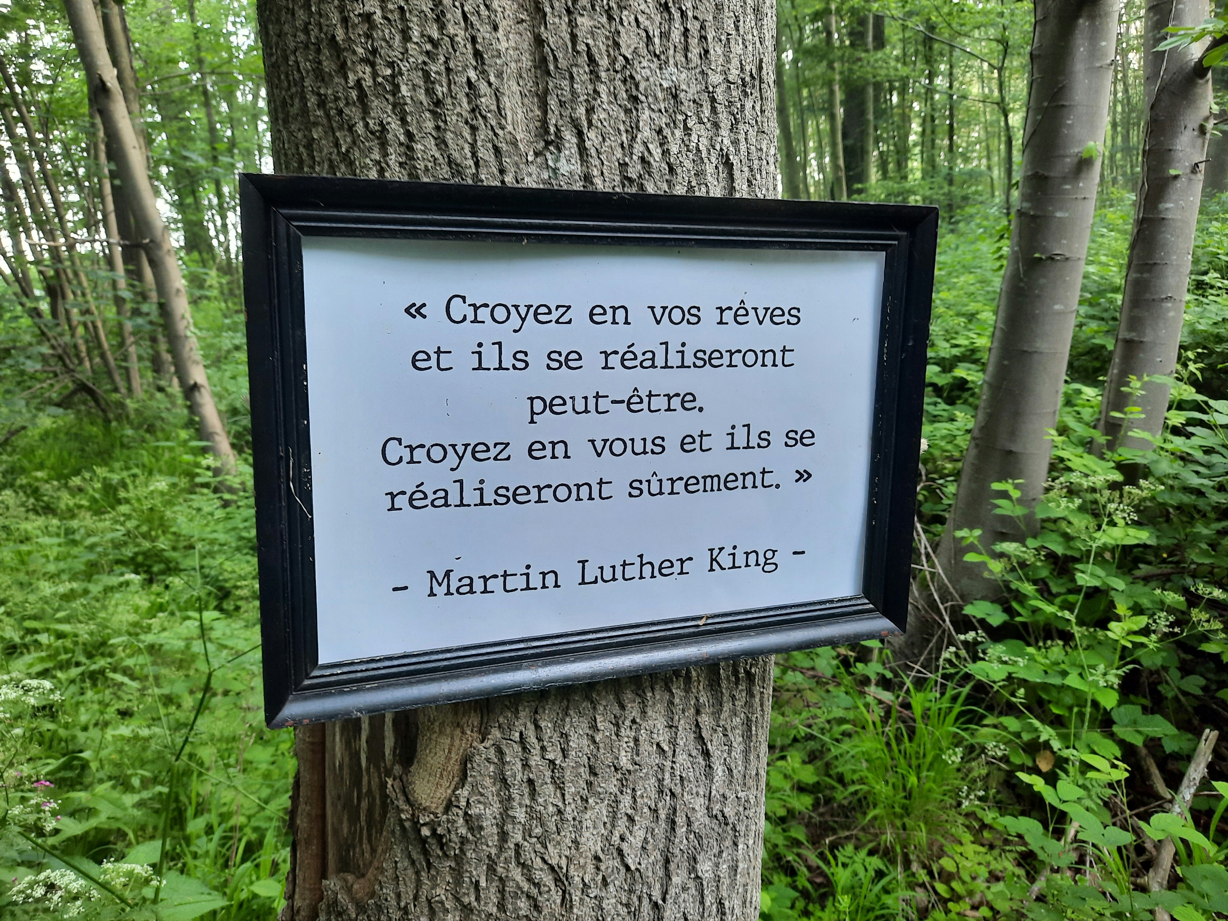 Citation