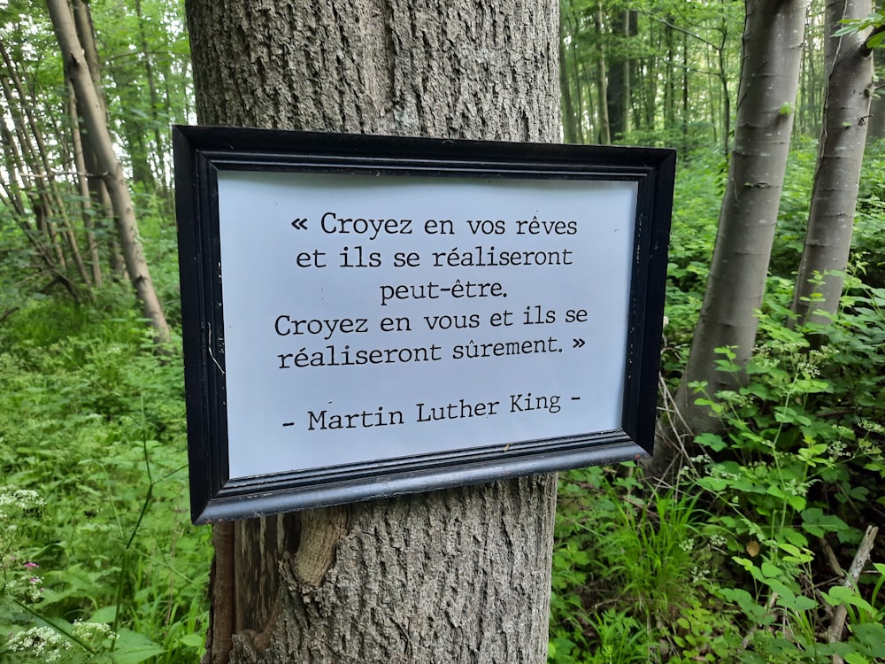 a sign posted on a tree in a forest