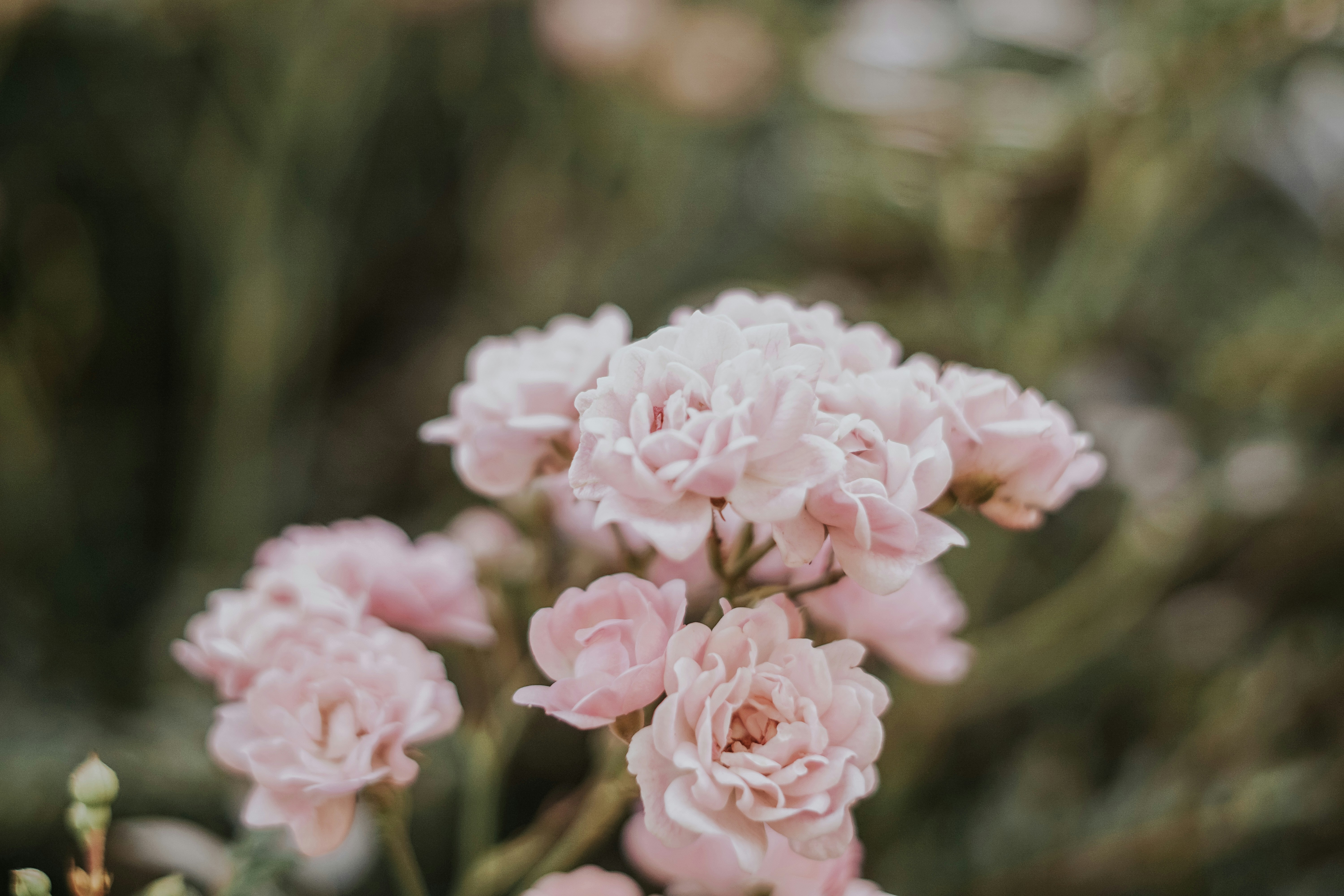 Photo by fanjatastisch