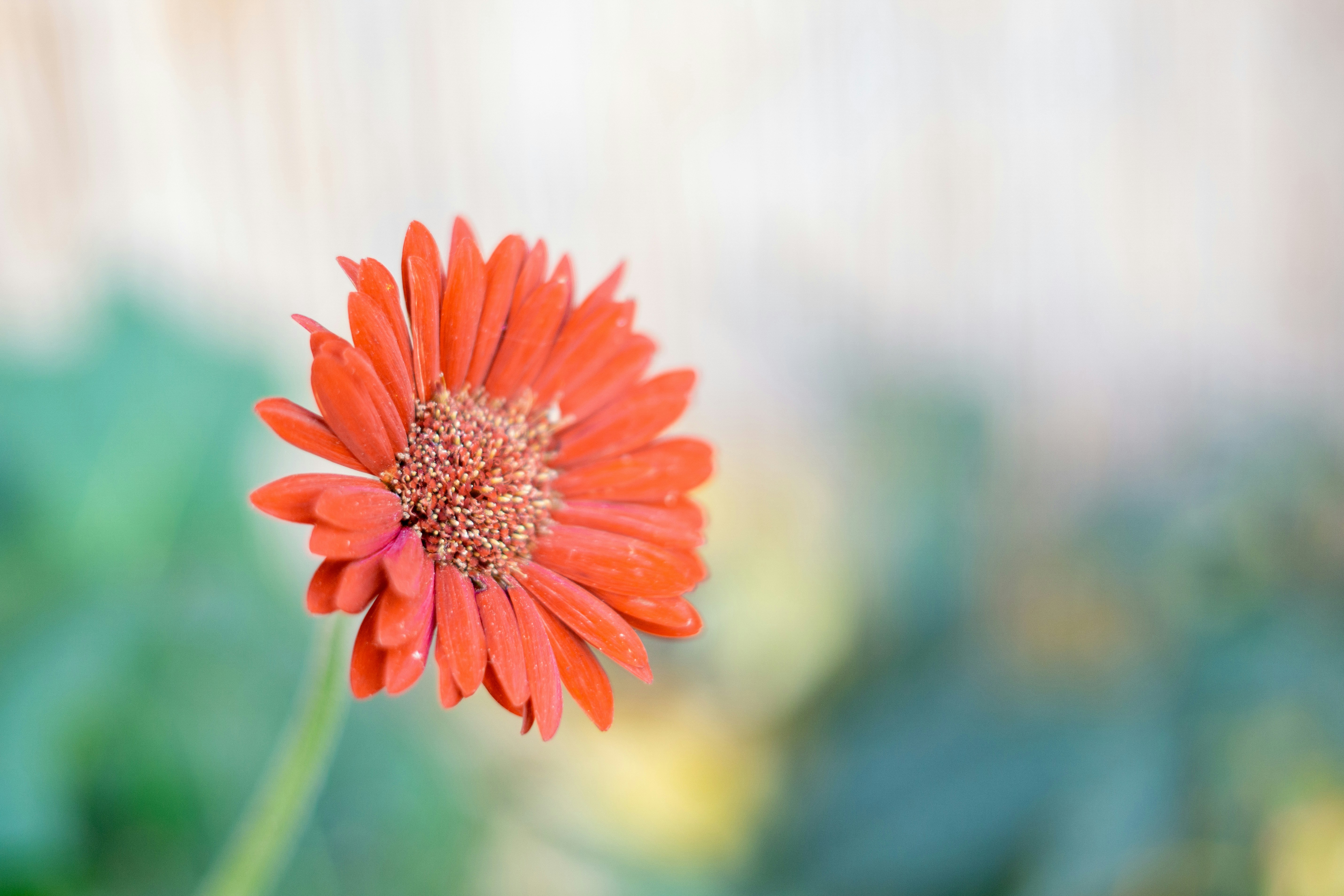 Photo by fanjatastisch