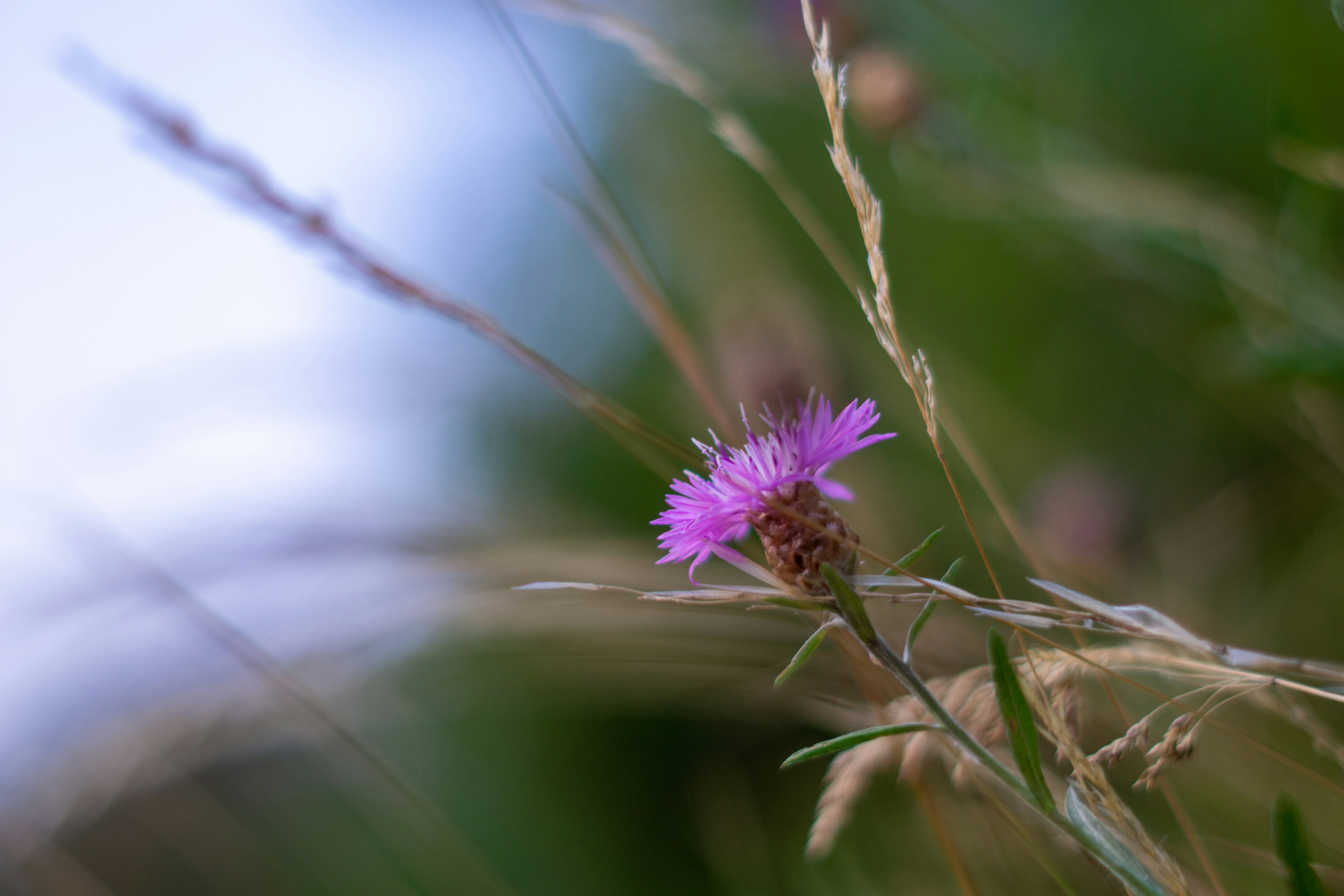 Photo by fanjatastisch