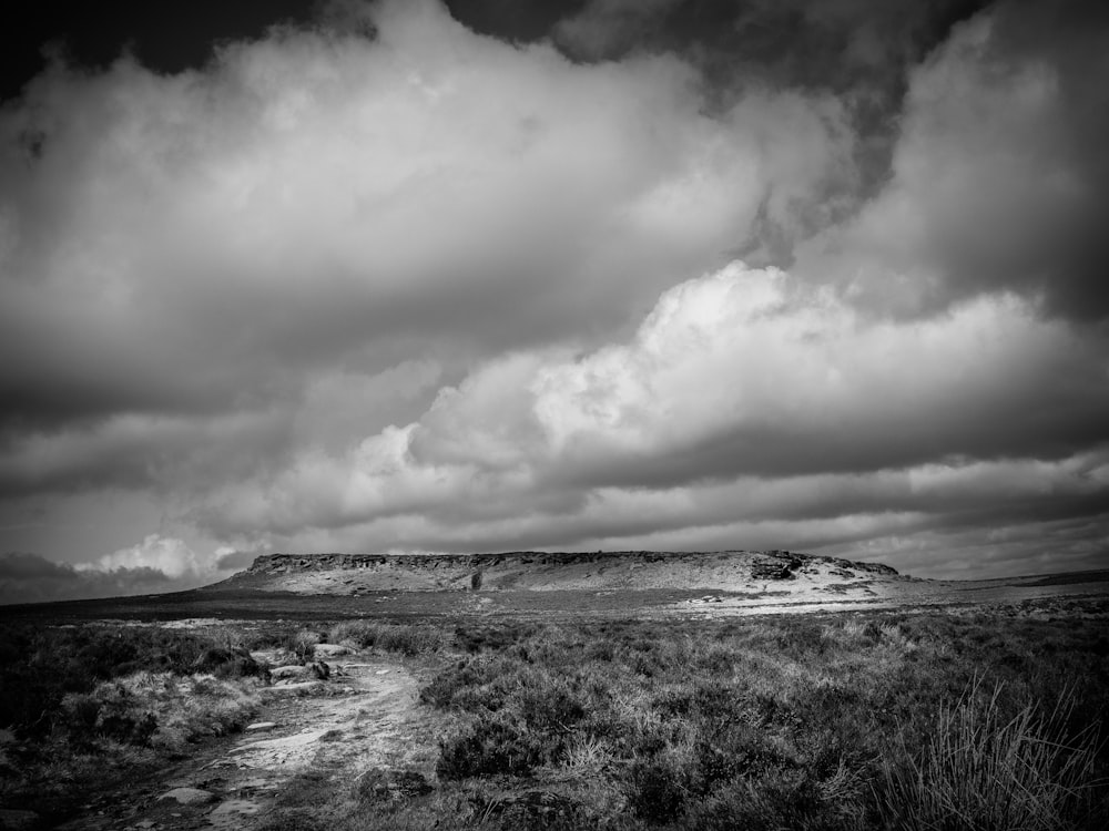 a black and white photo of a field with a mountain in the background