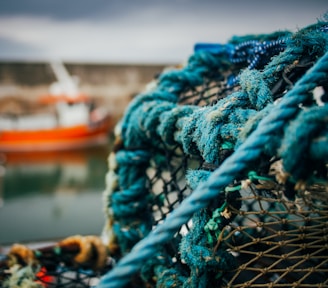 A weathered fishing net tangled around rusty prison bars against a bleak sky.