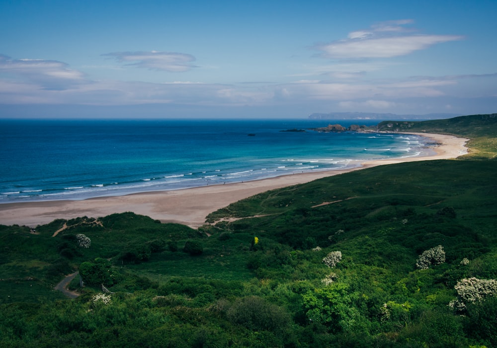 a view of a beach from a hill overlooking the ocean