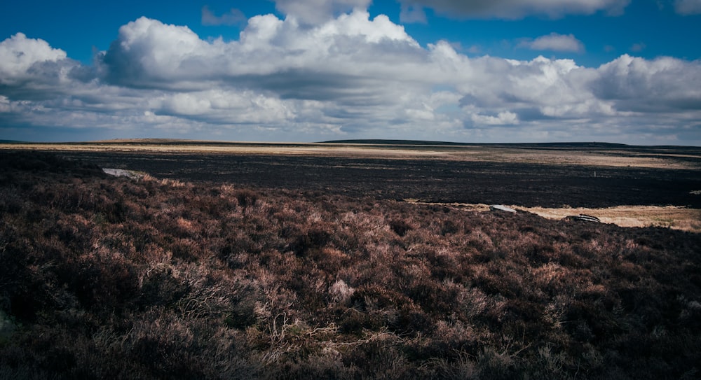 a grassy plain with a few clouds in the sky