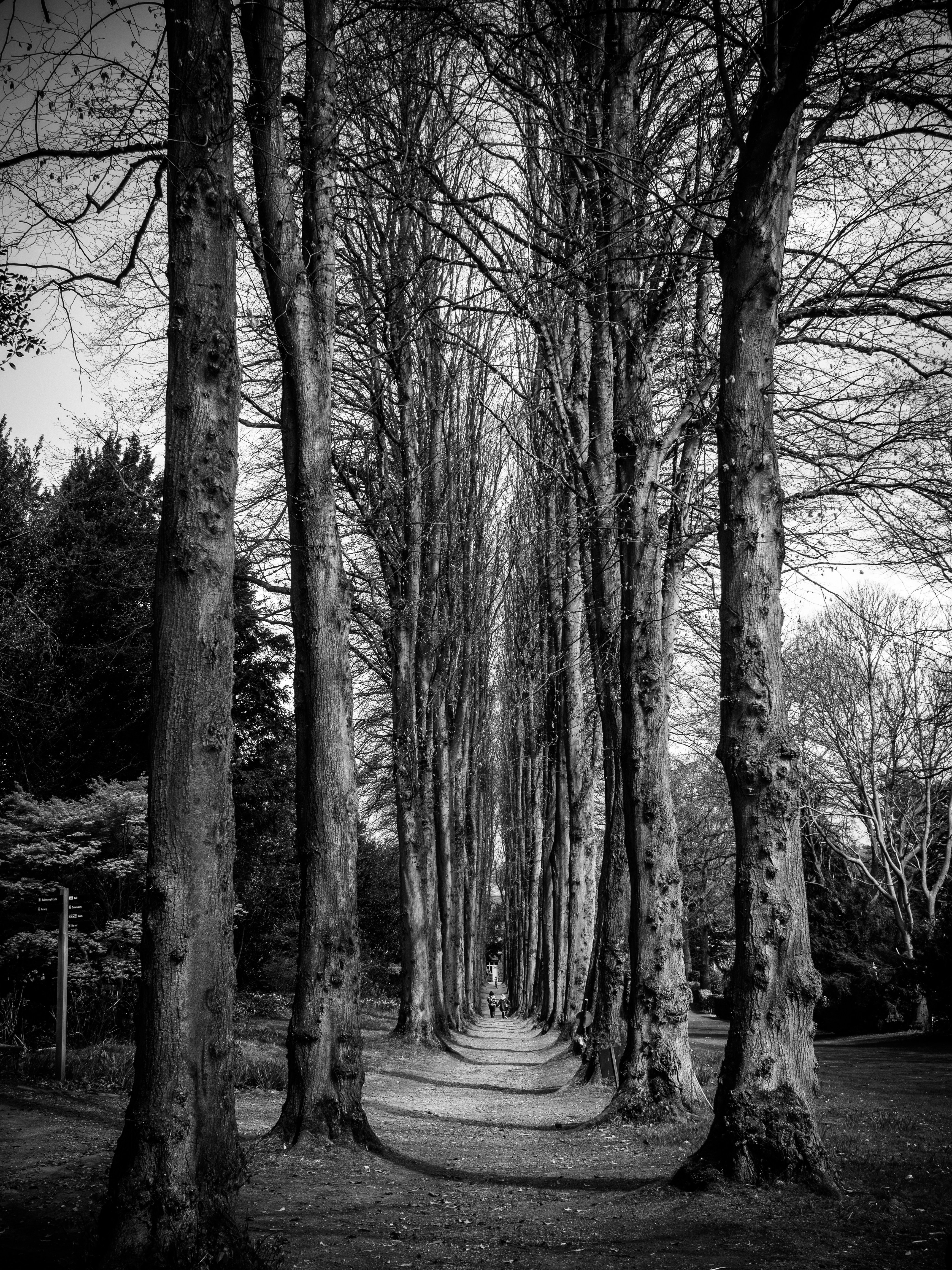 Photo by gregwillson