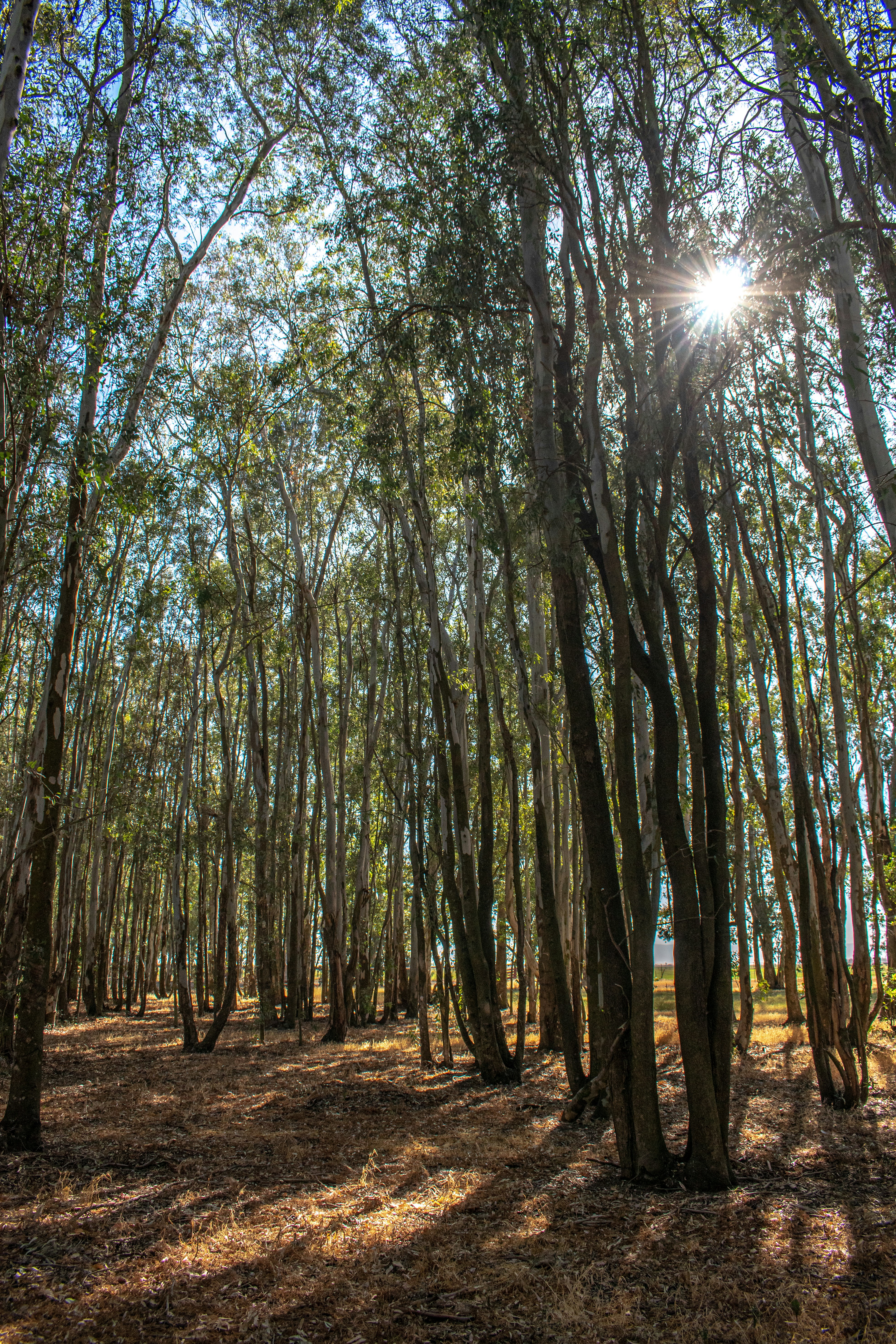 Photo by elisastonephotography