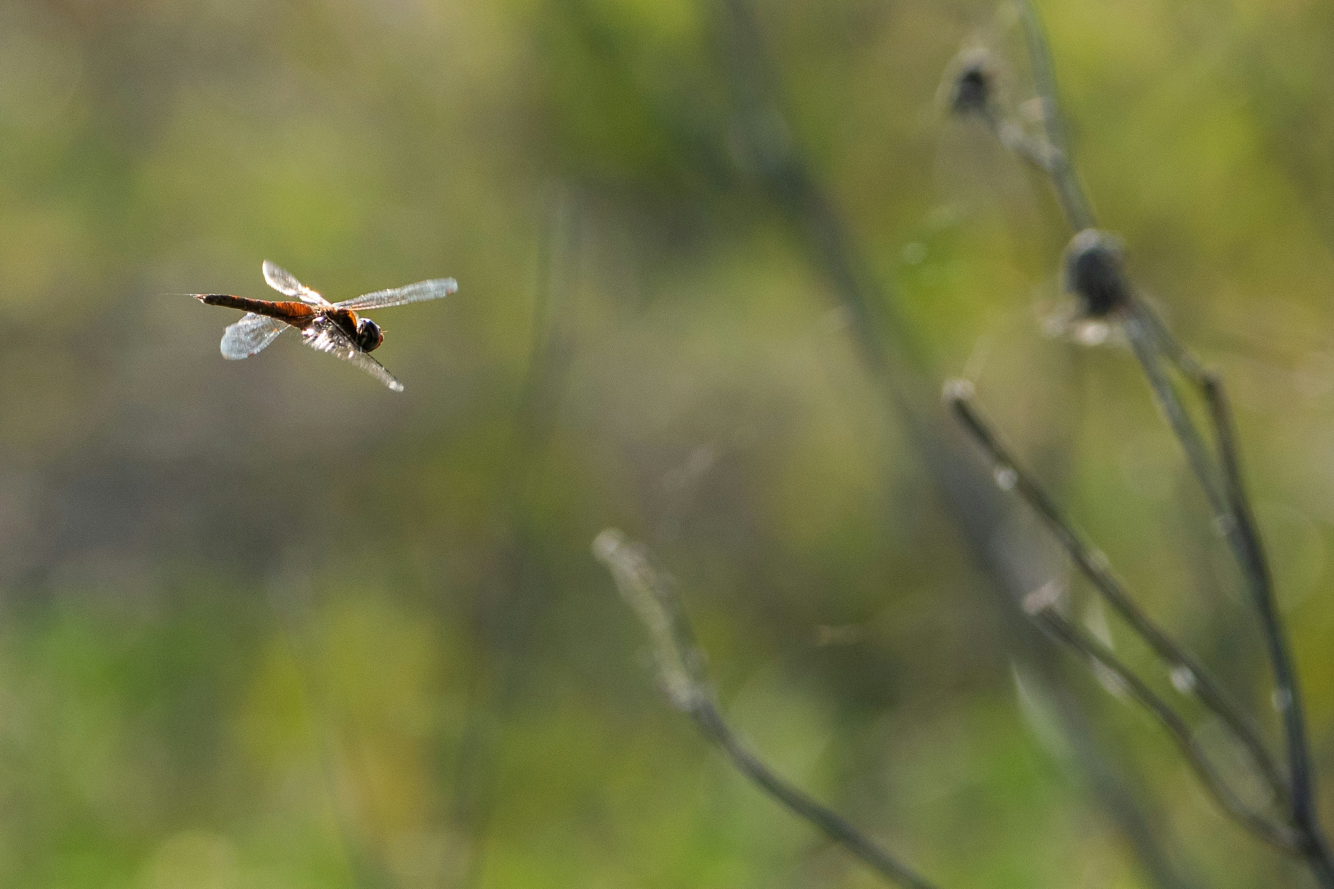 Photo by elisastonephotography