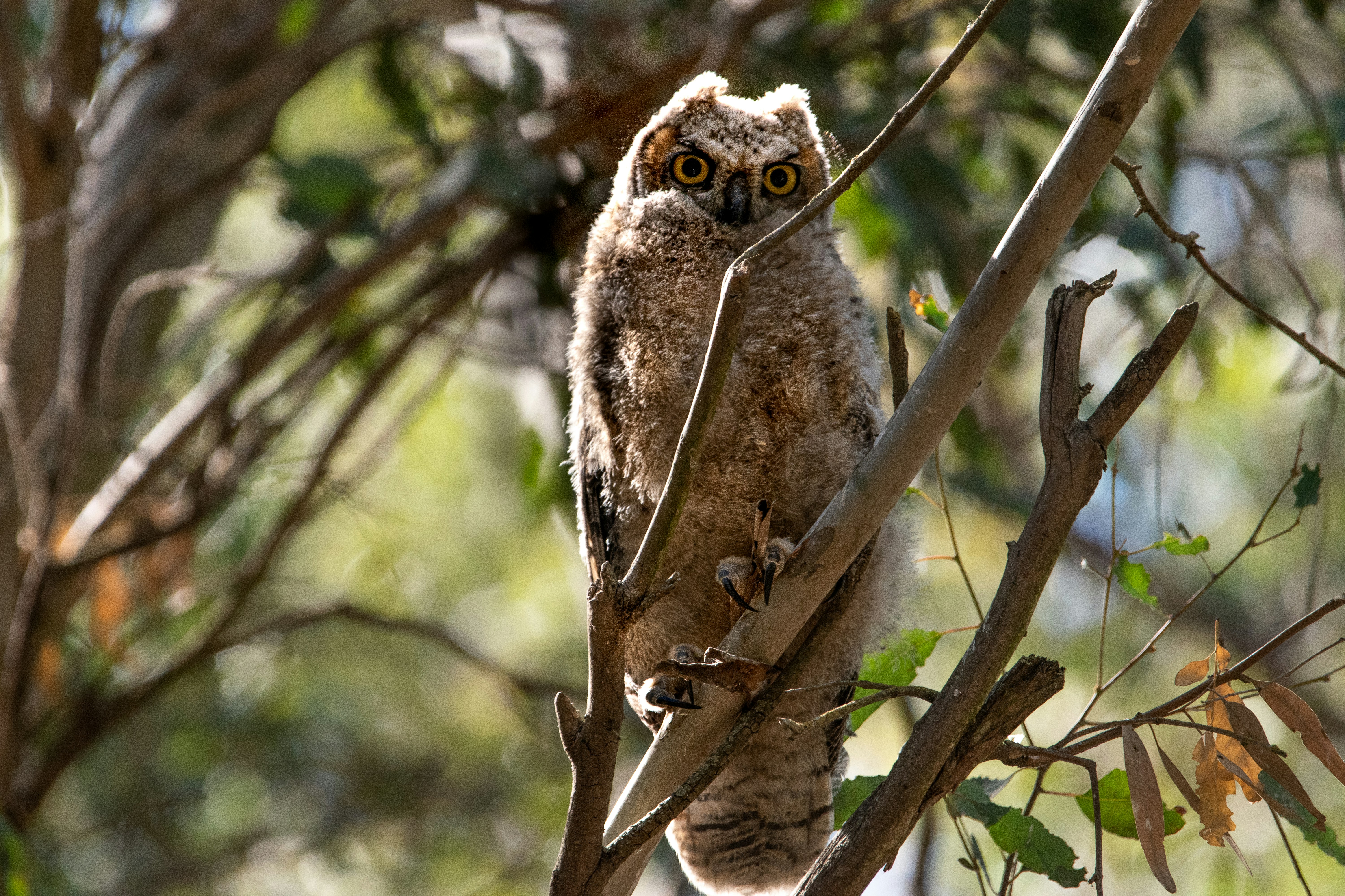 Photo by elisastonephotography