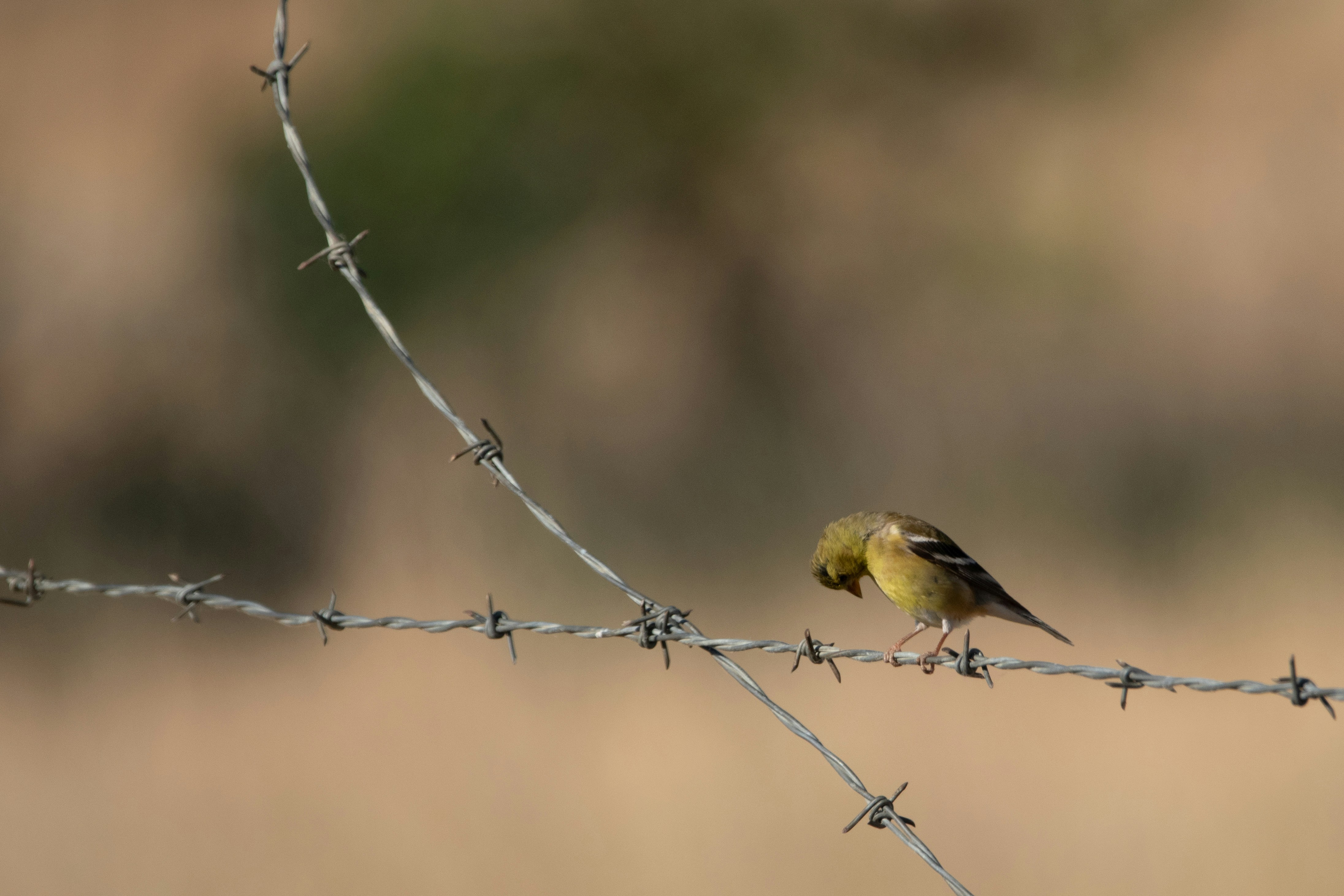 Photo by elisastonephotography