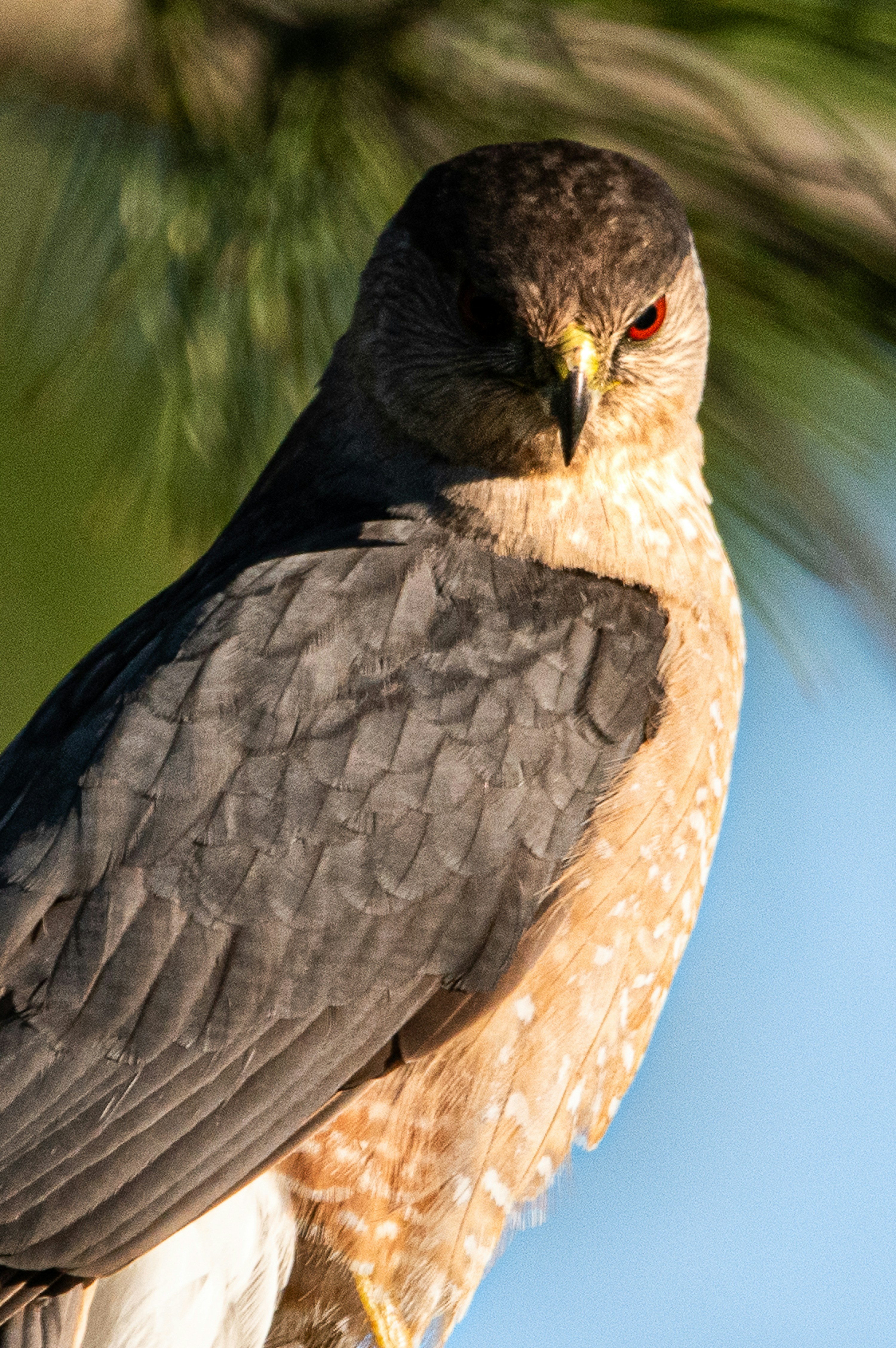 Photo by elisastonephotography