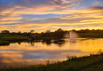 a pond with a fountain in the middle of it