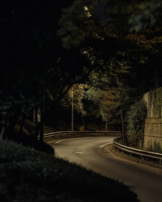 a curved road with a stop sign on the side of it