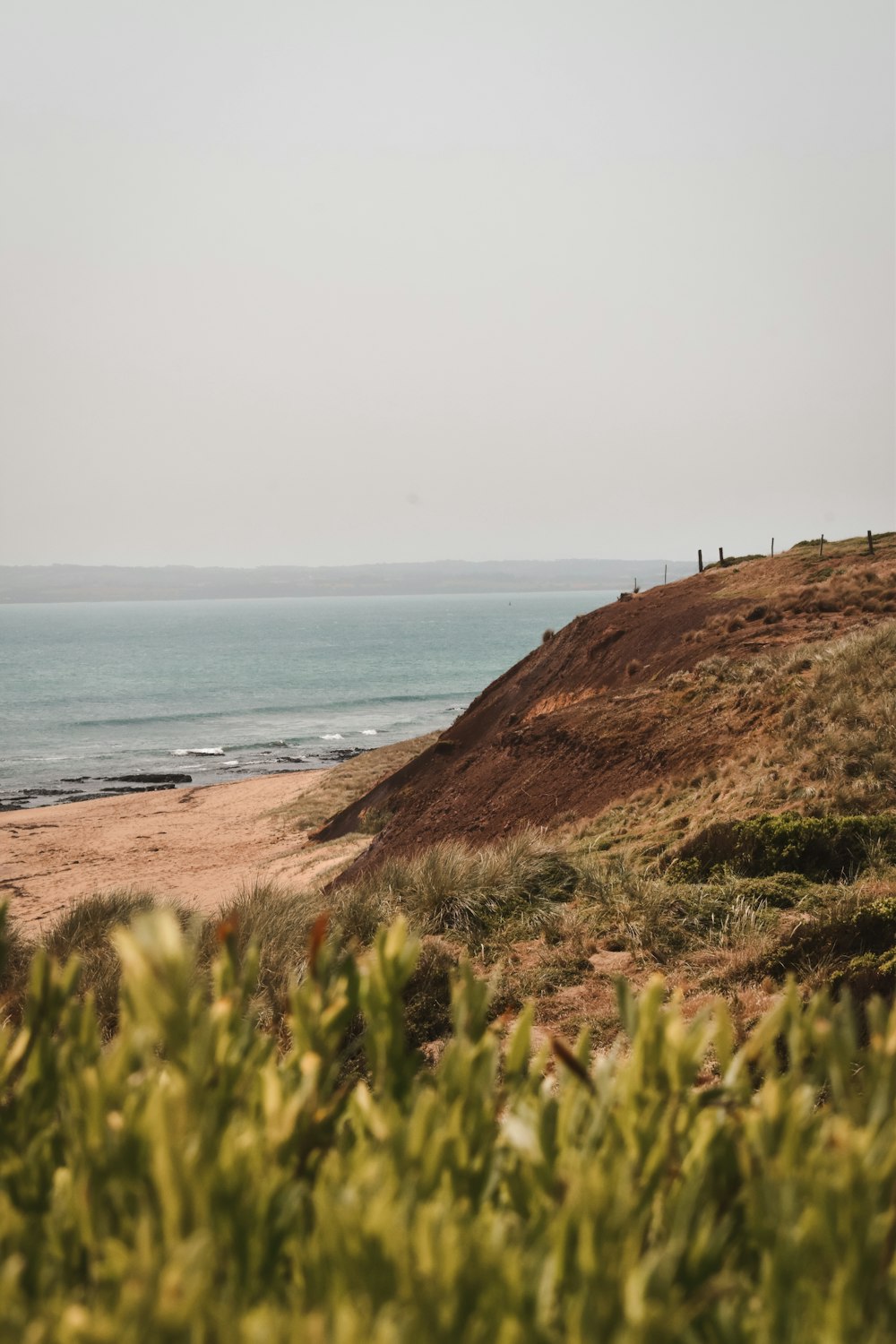 a group of people standing on top of a sandy beach