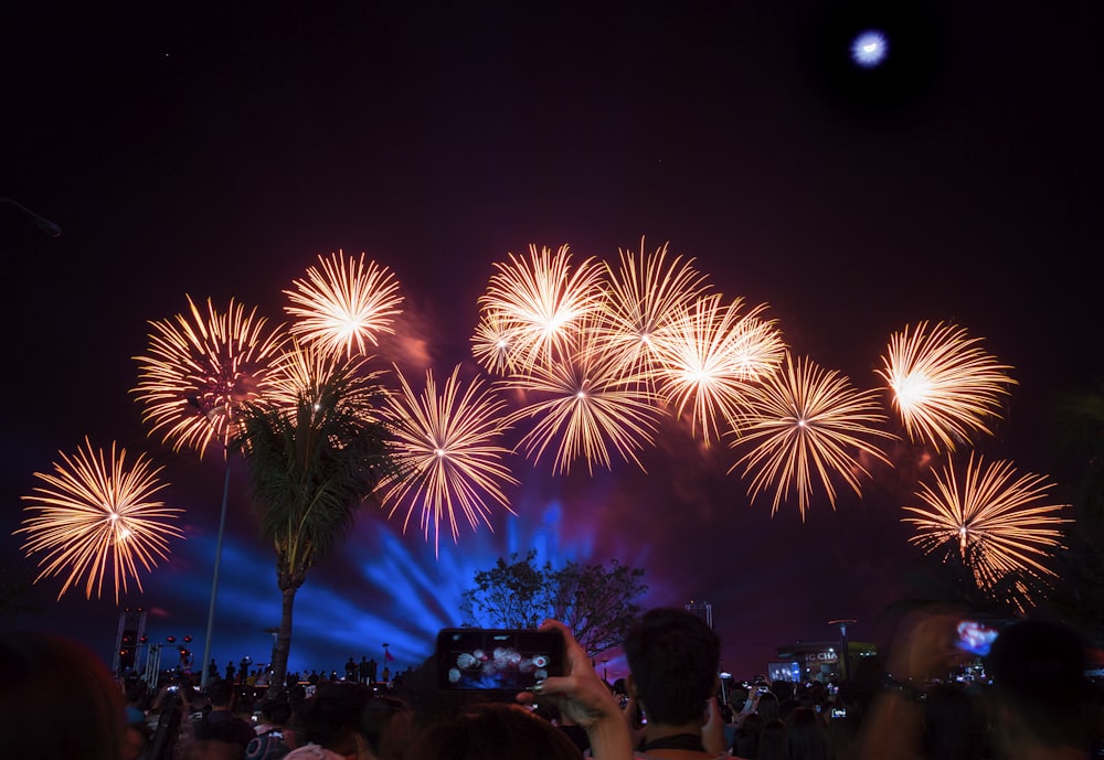 a crowd of people watching a fireworks display