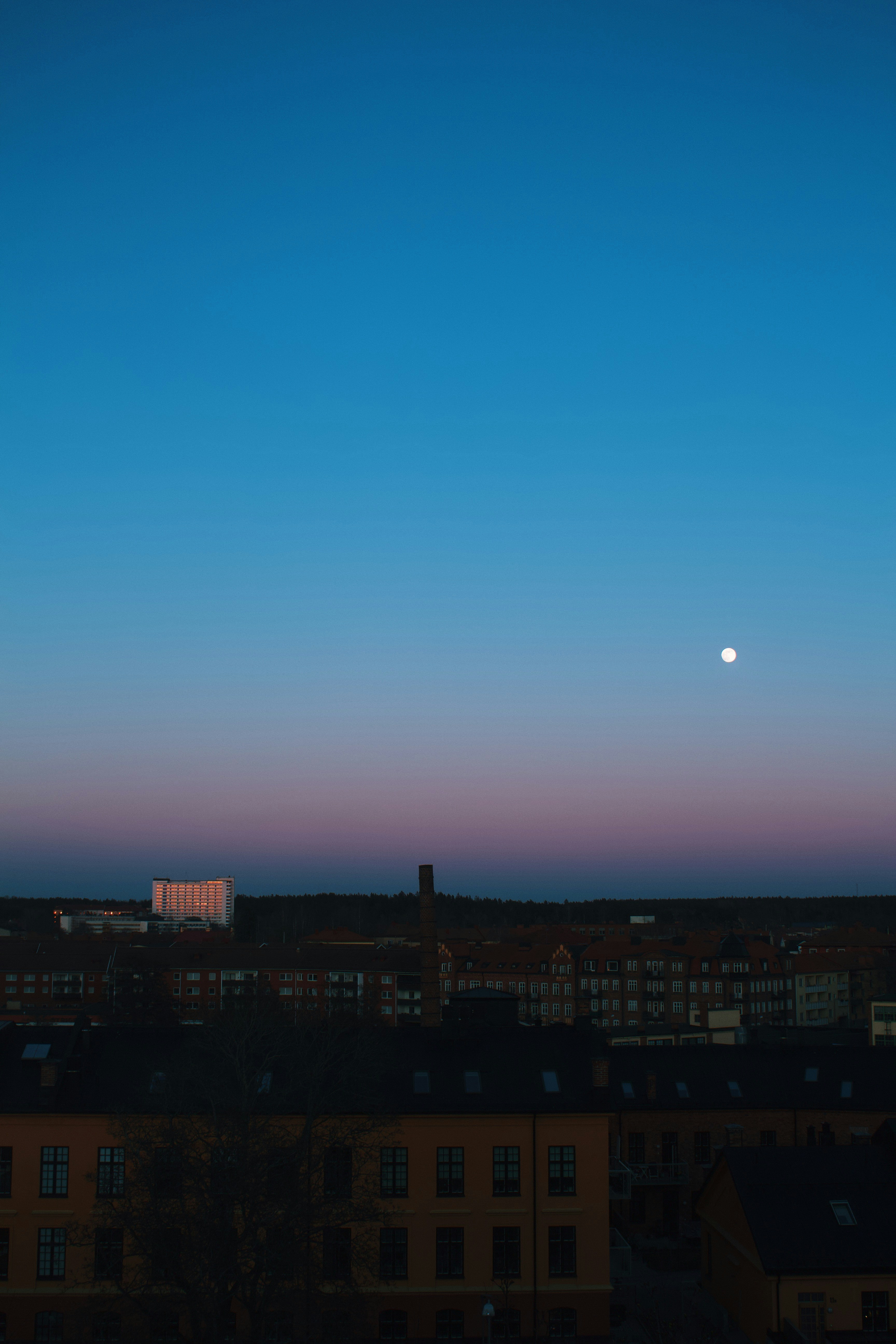 Photo by sophieskold