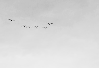 Coaching and Therapy Salisbury