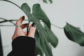 Close-up of a woman's hand with freshly manicured nude nails resting gently on a soft green leaf.