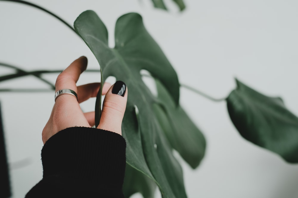 a woman's hand holding onto a green plant