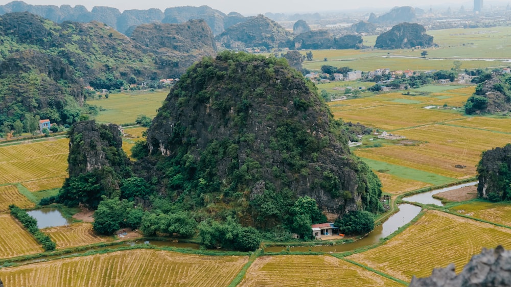 an aerial view of a rice field with a mountain in the background
