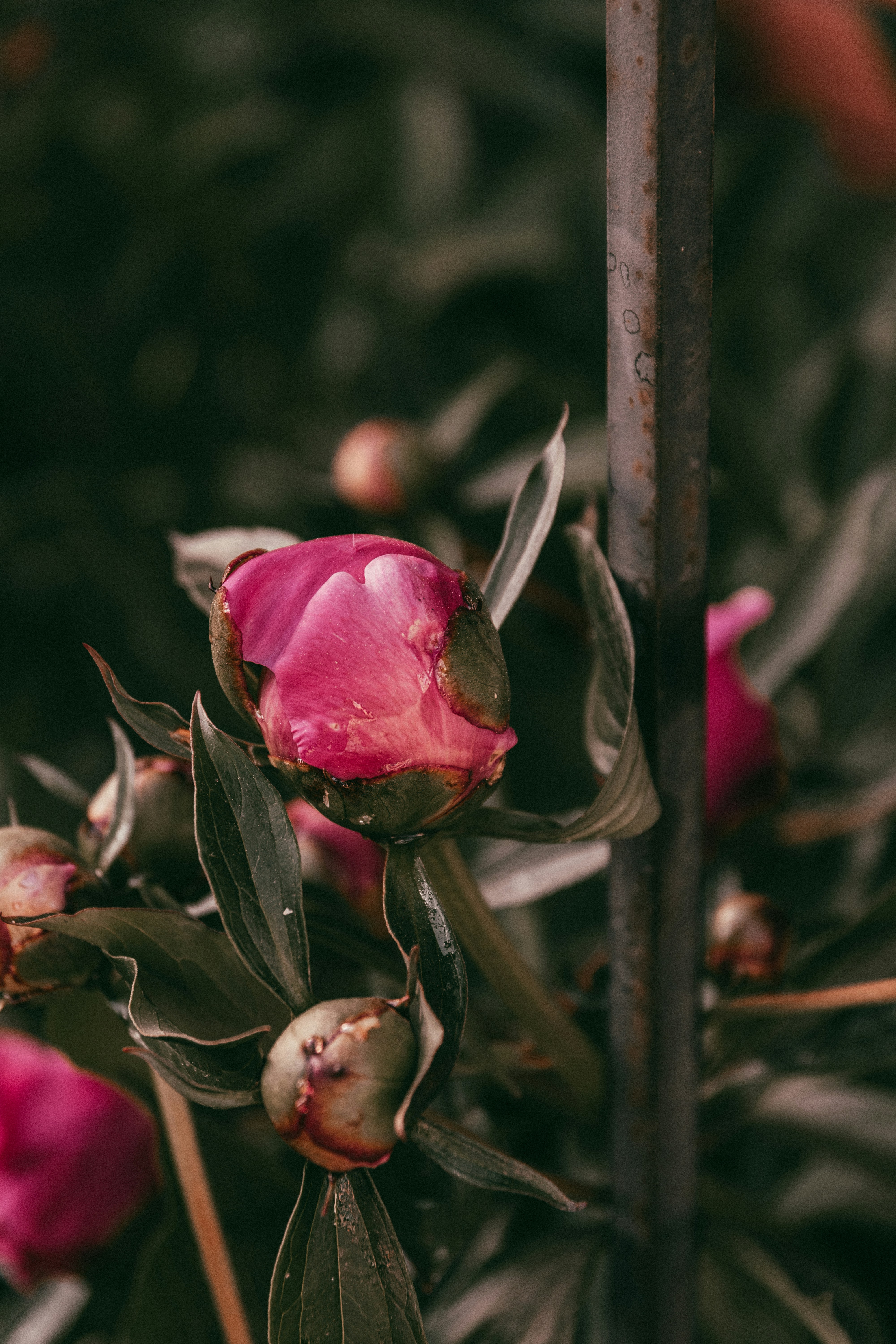 Photo by sophie_mikat