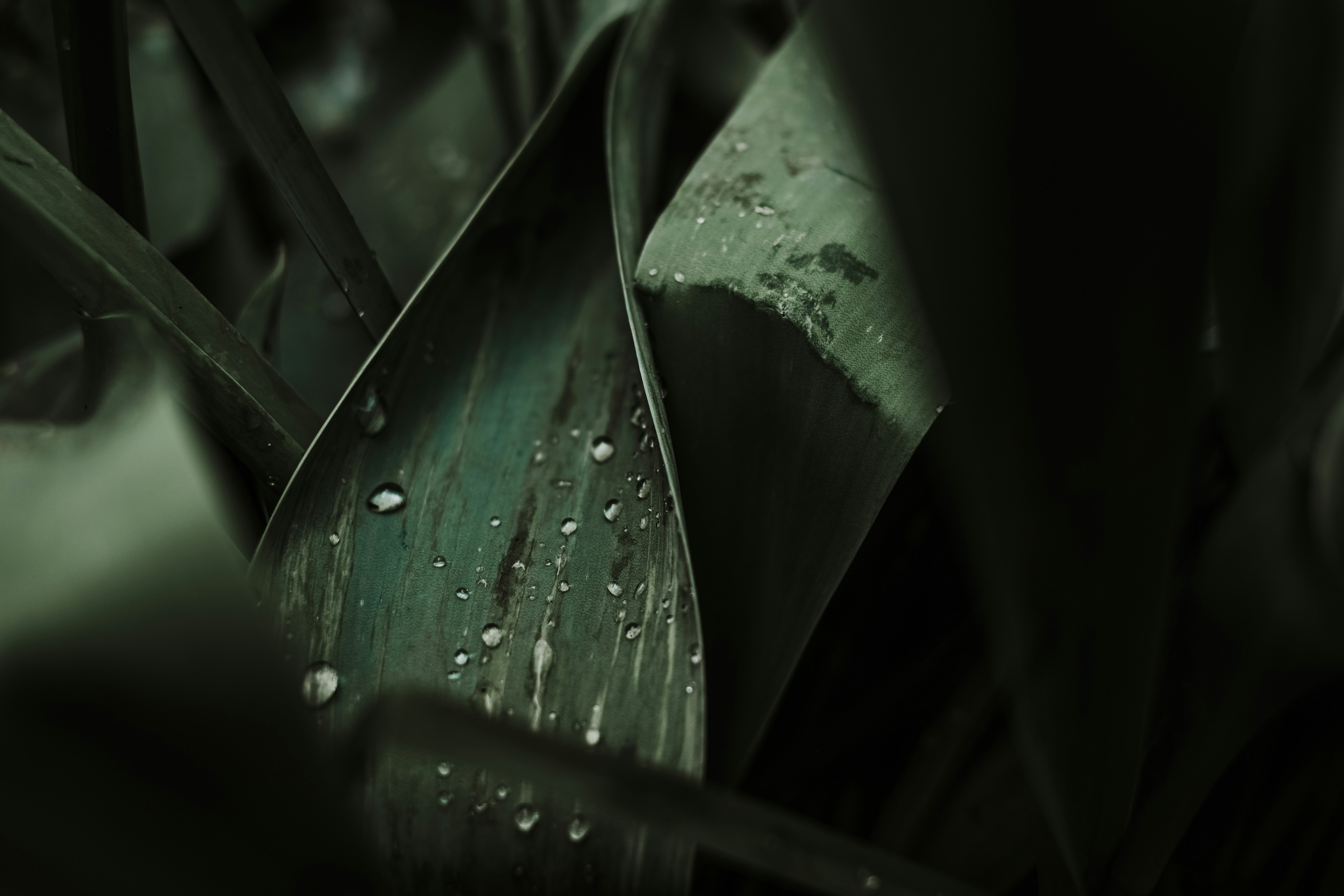 Photo by valeriiamiller