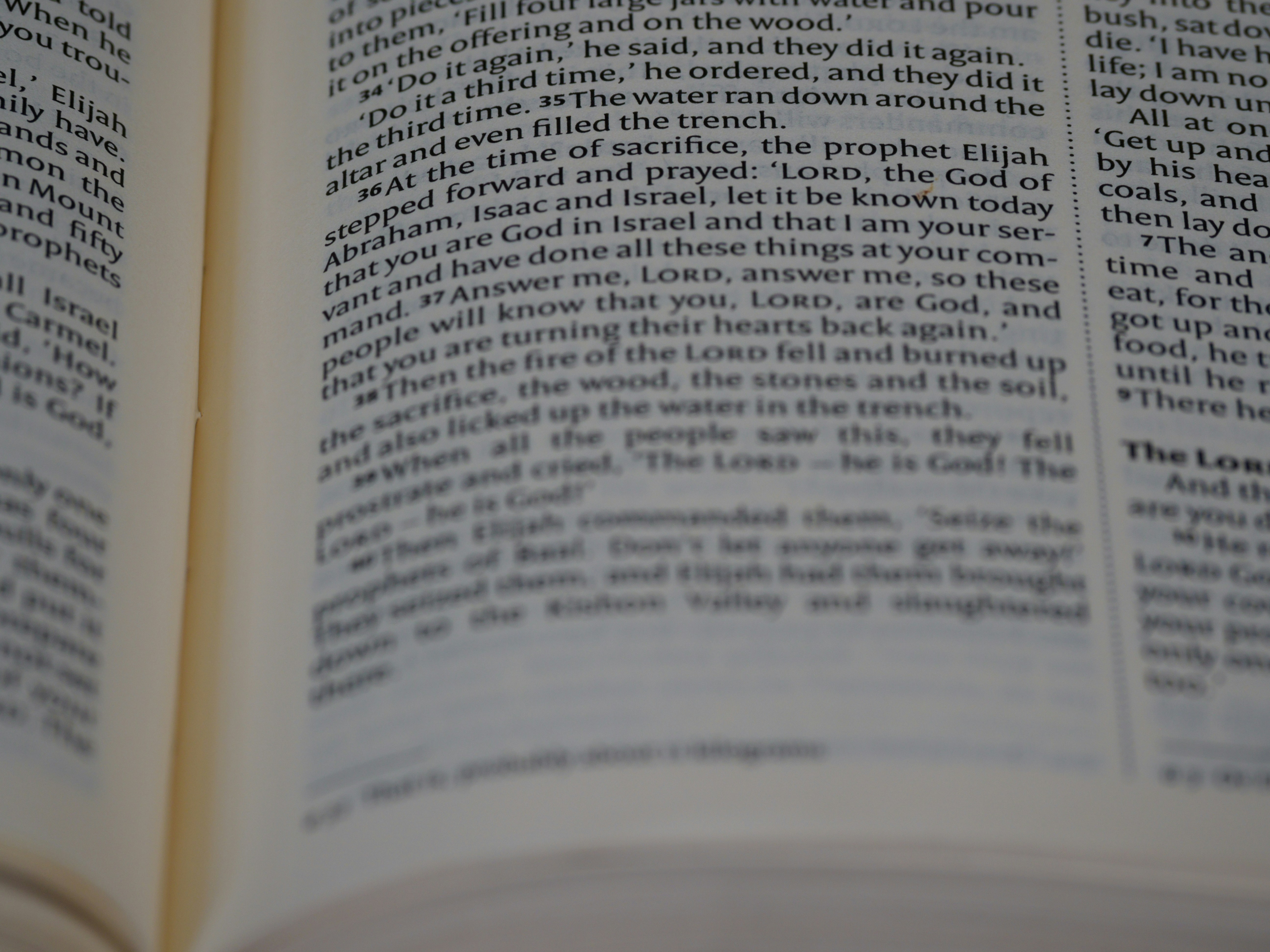 Photo by brett_jordan