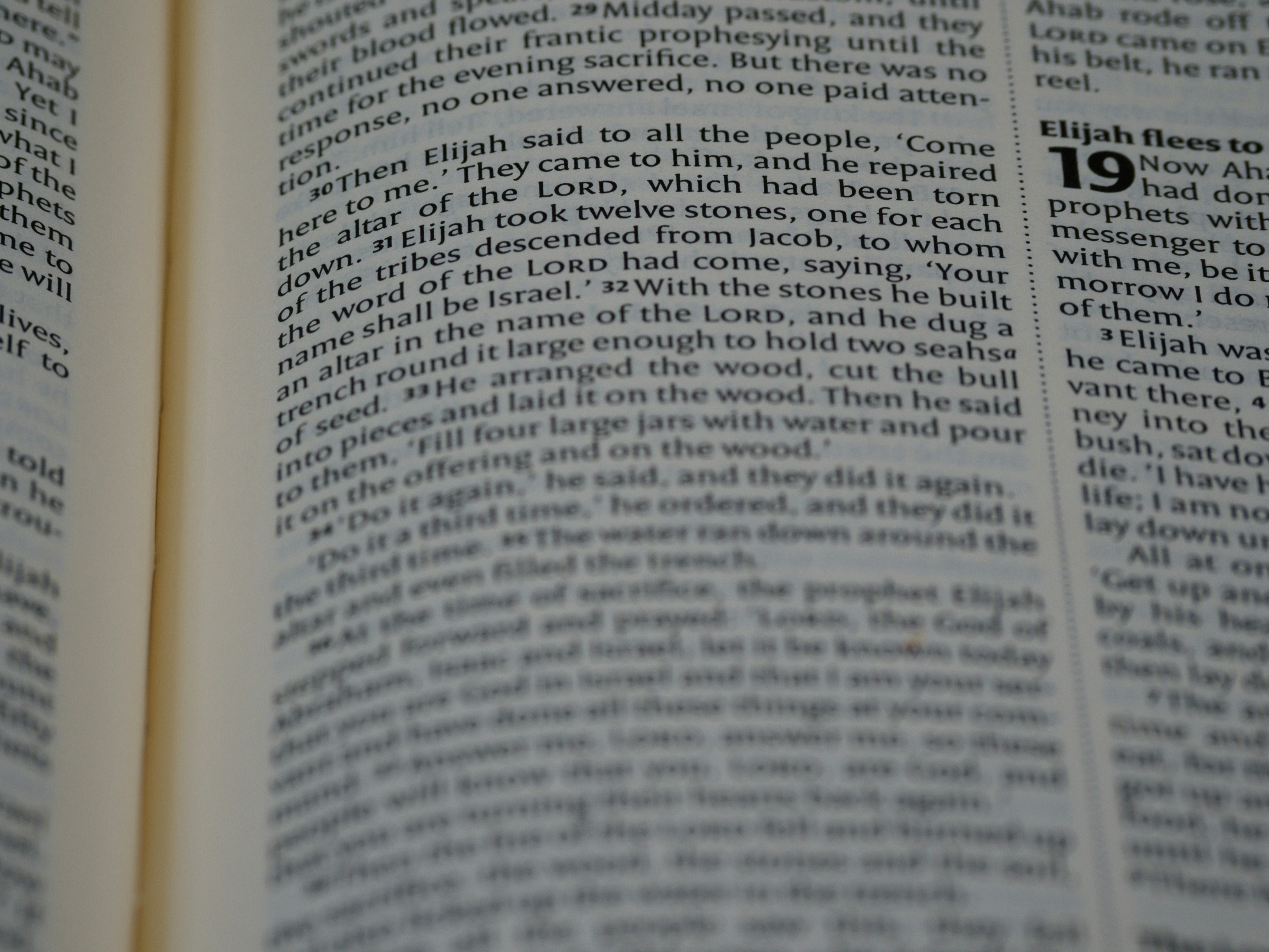 Photo by brett_jordan