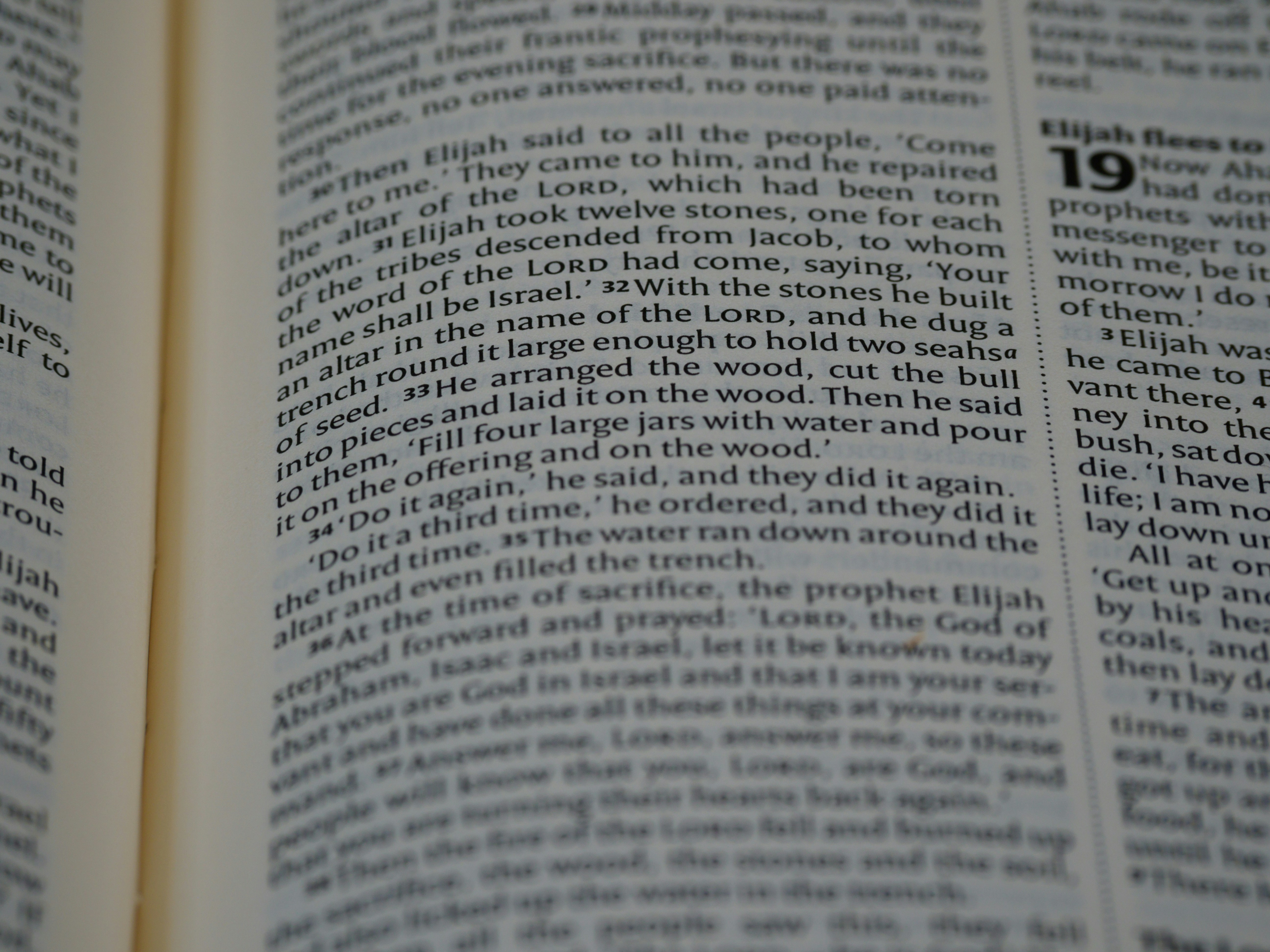 Photo by brett_jordan