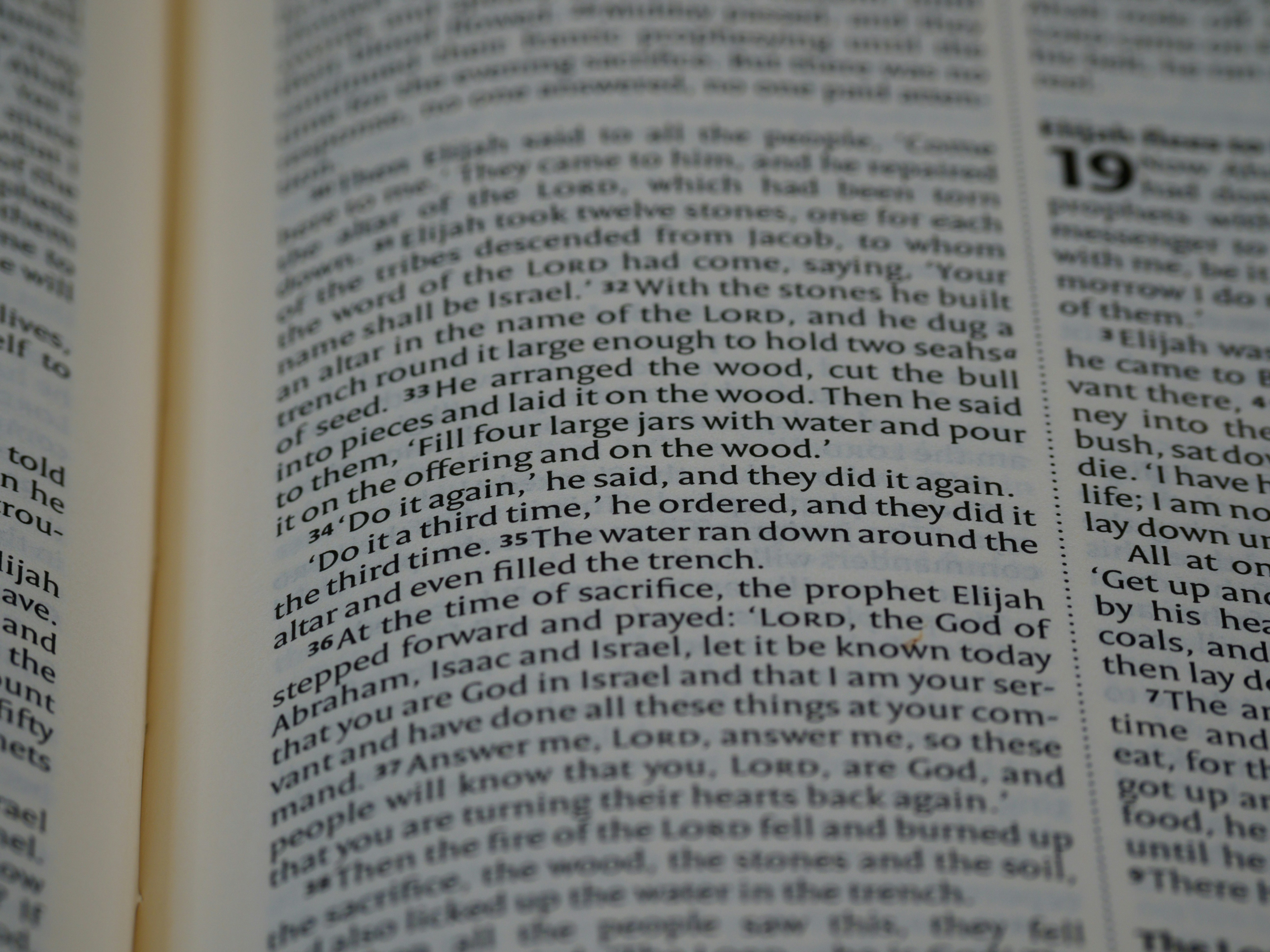 Photo by brett_jordan