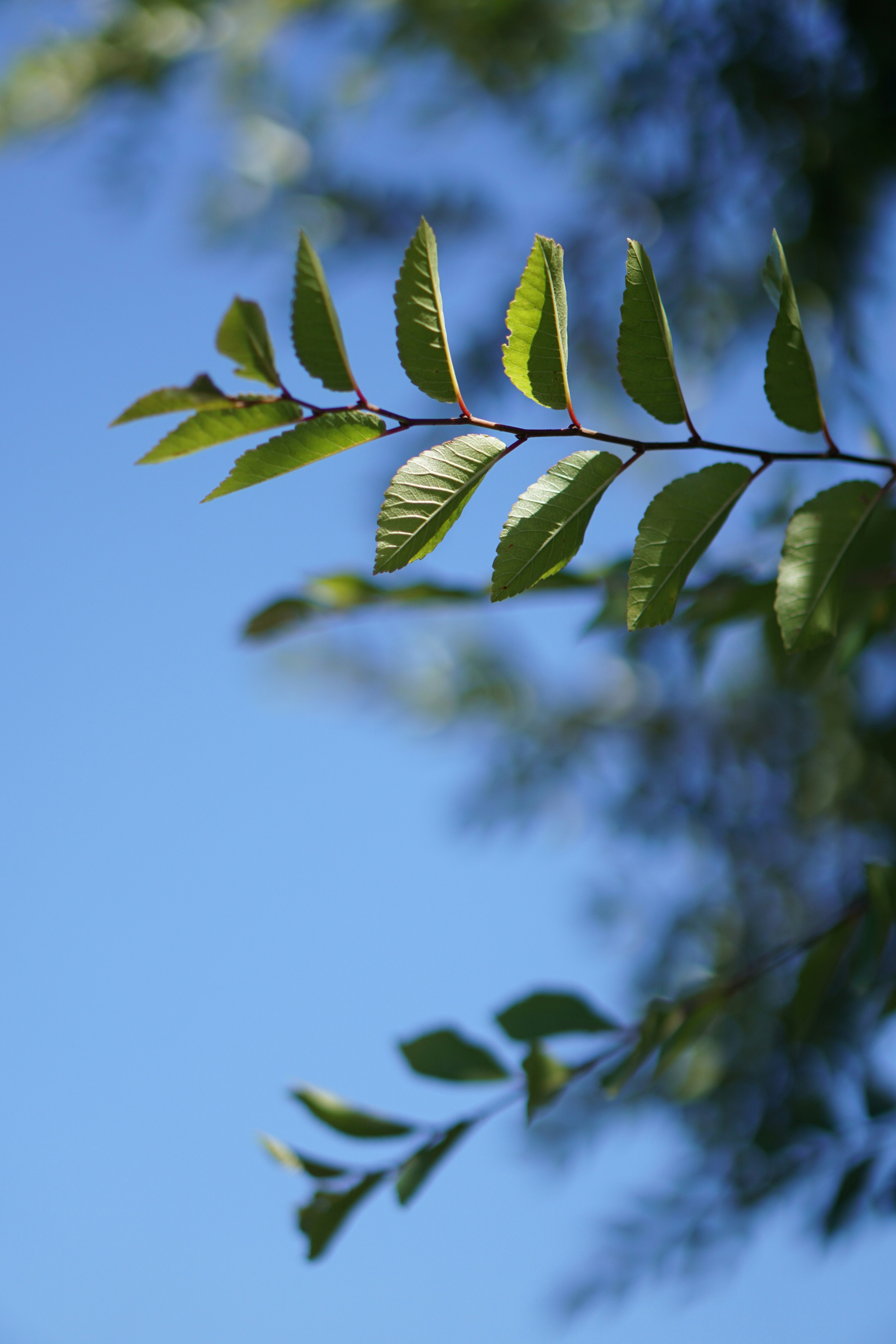 Photo by littlelion0727