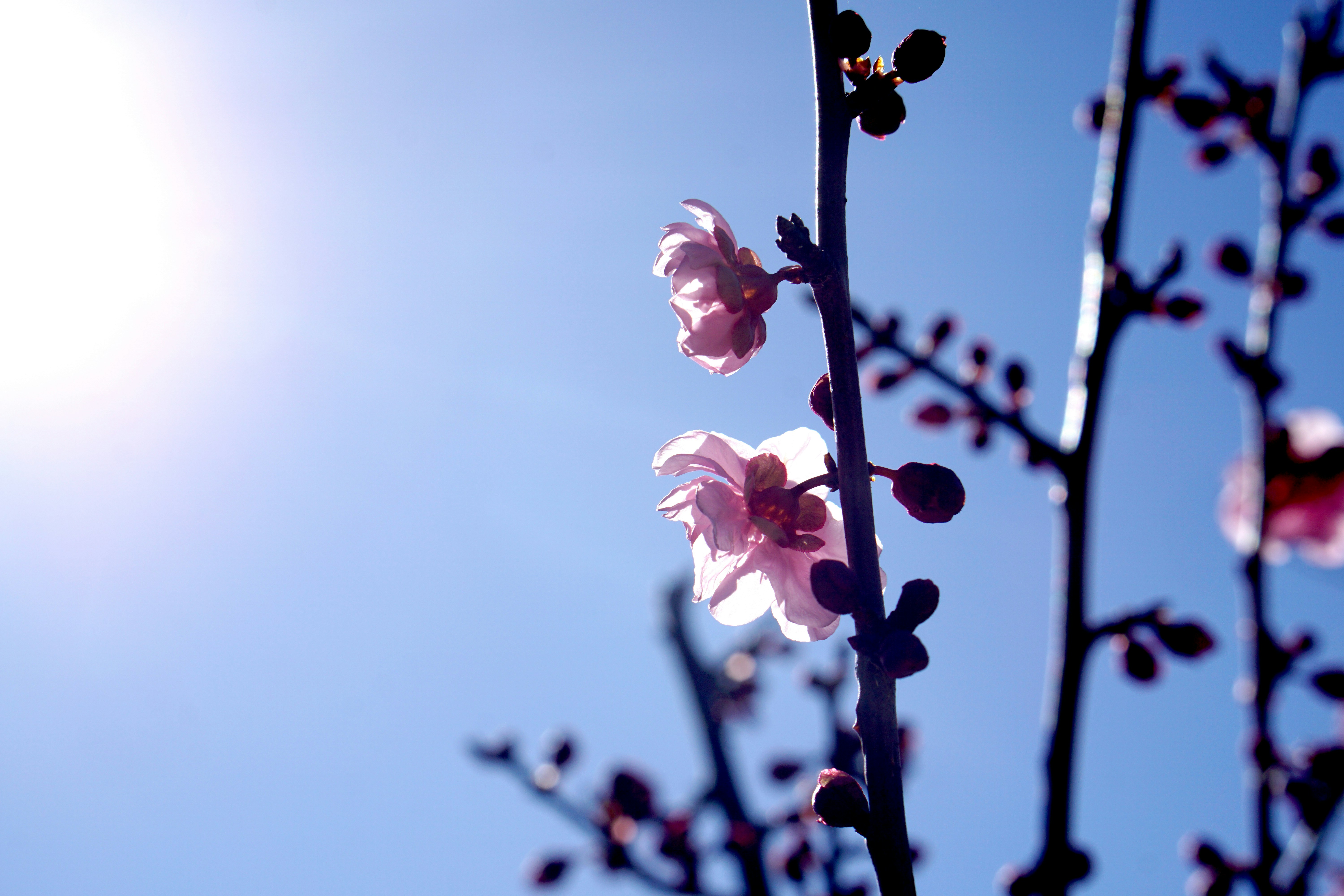 Photo by littlelion0727