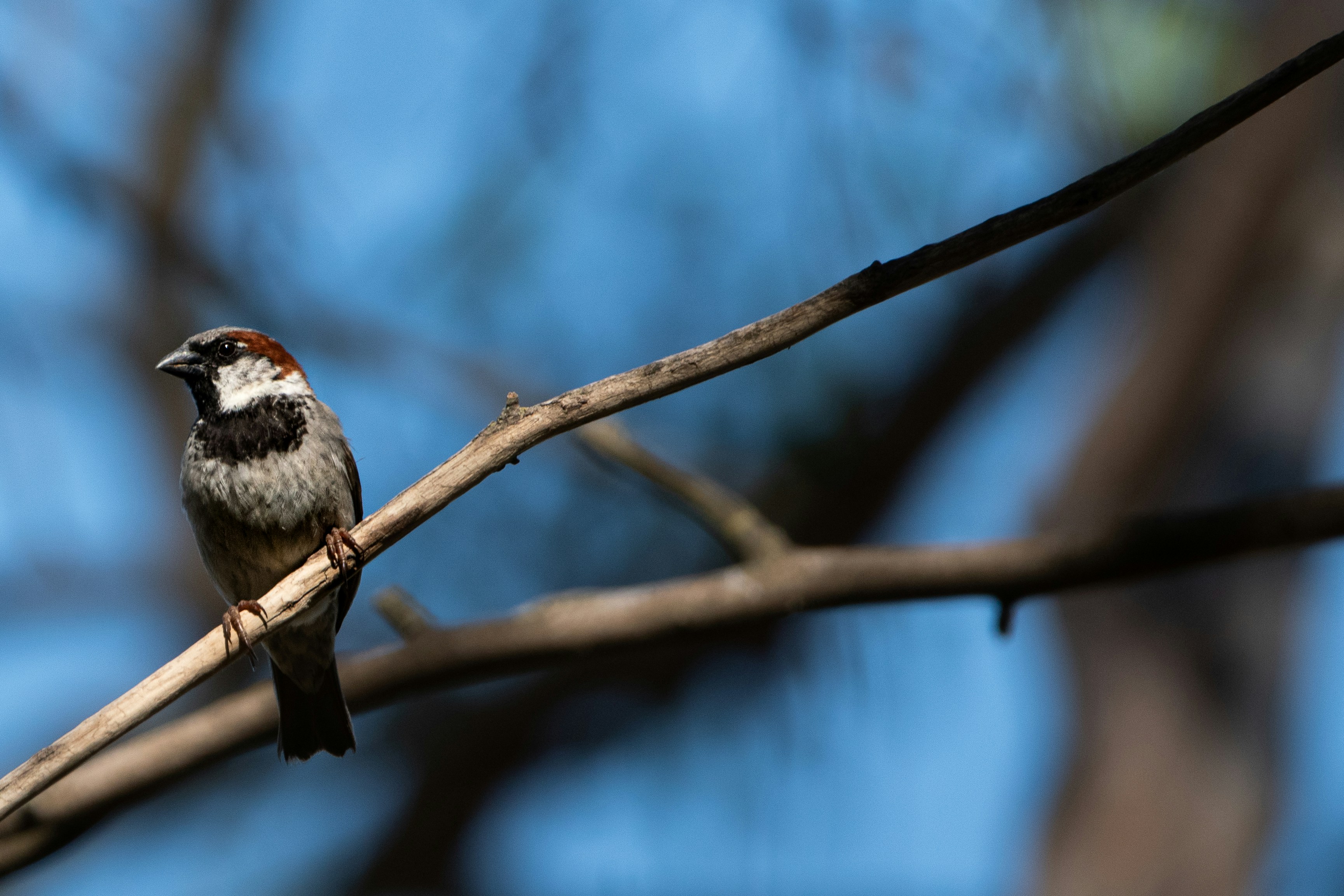 Photo by elisastonephotography