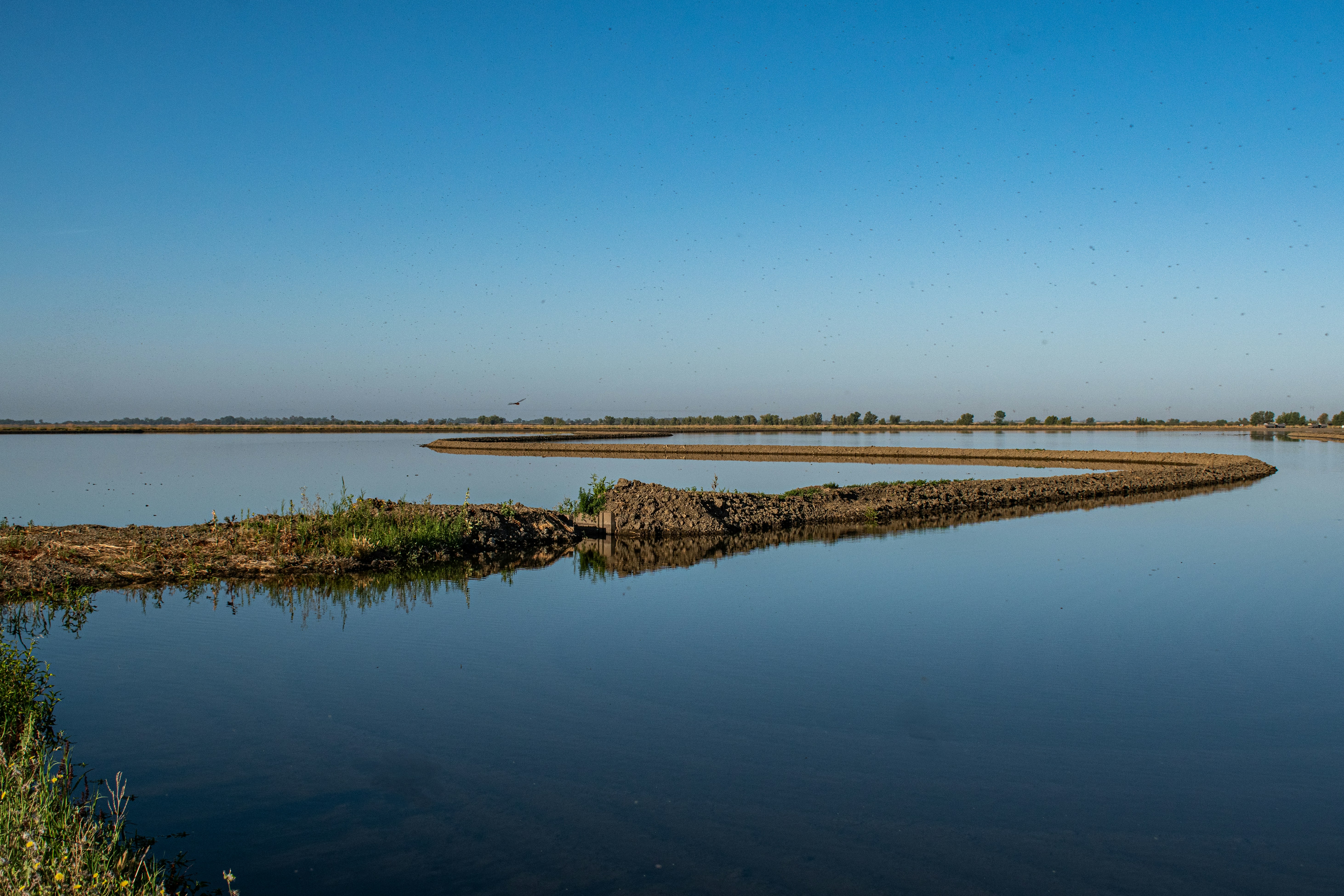 Photo by elisastonephotography