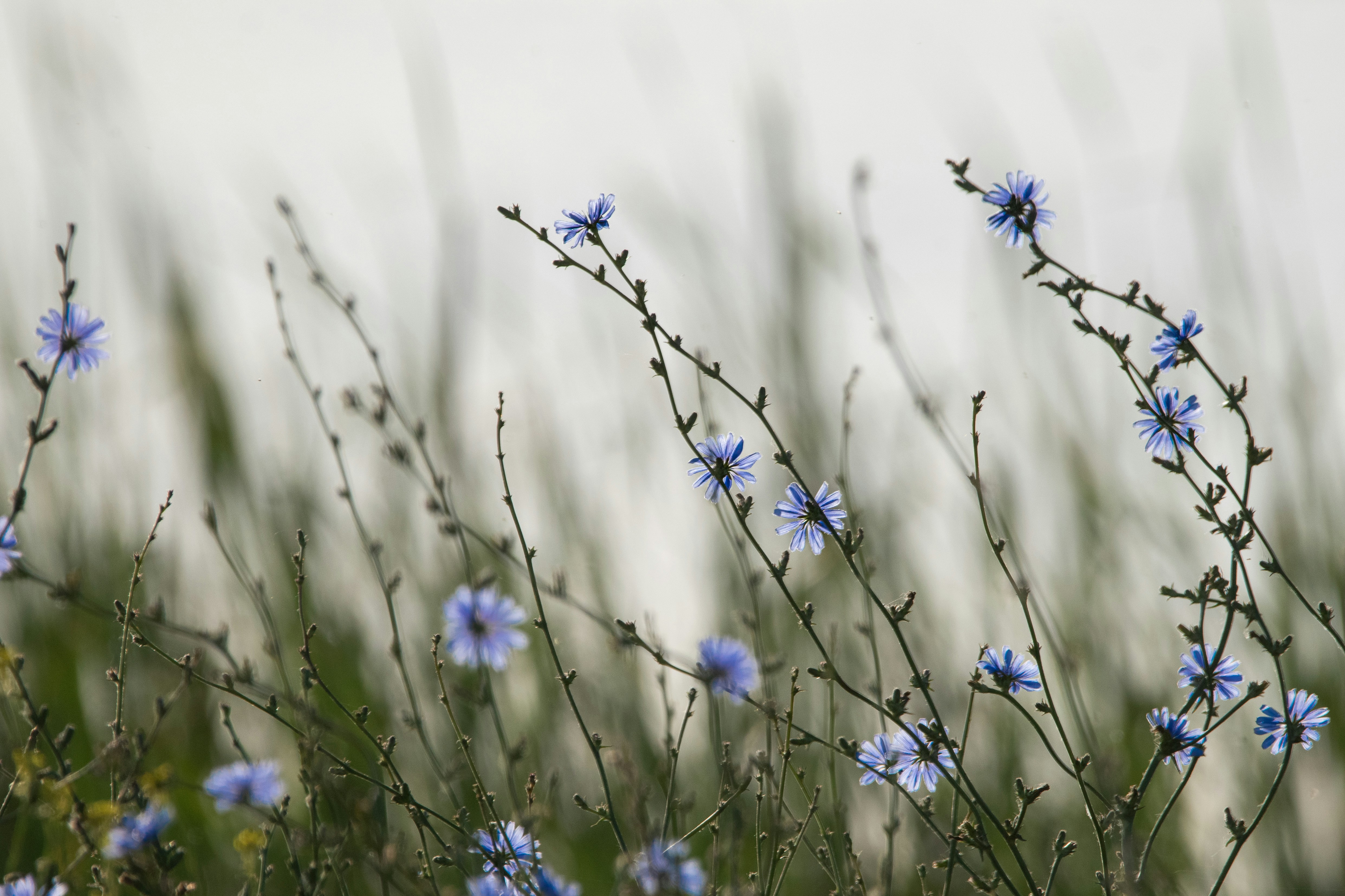 Photo by elisastonephotography