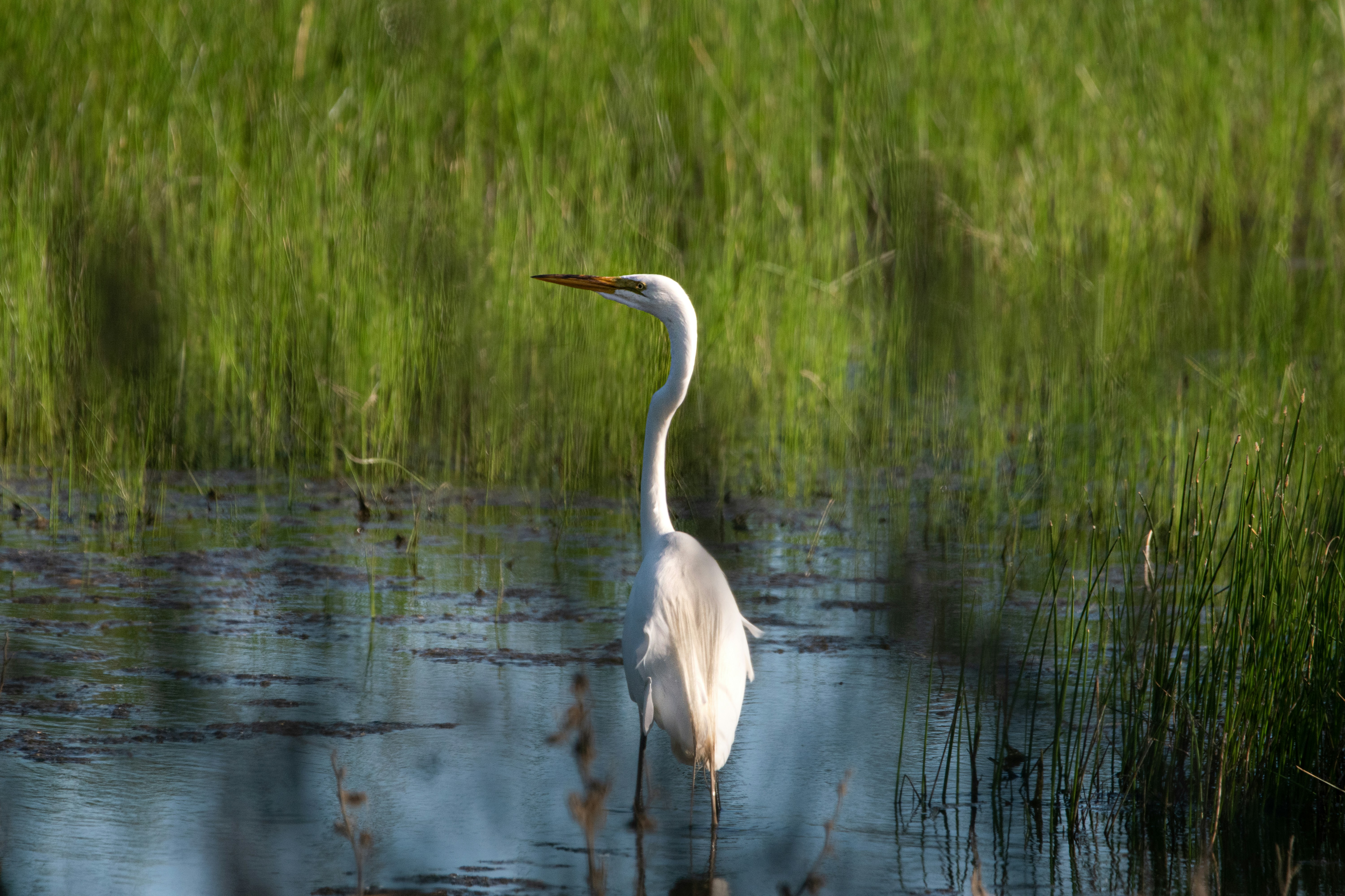 Photo by elisastonephotography