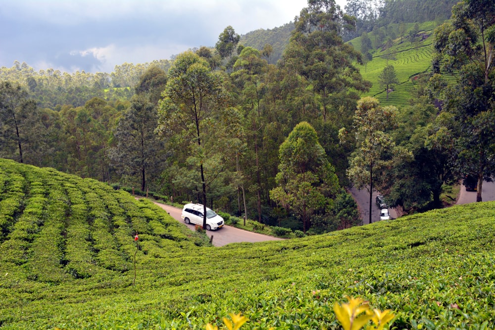 a van driving down a road surrounded by lush green hills