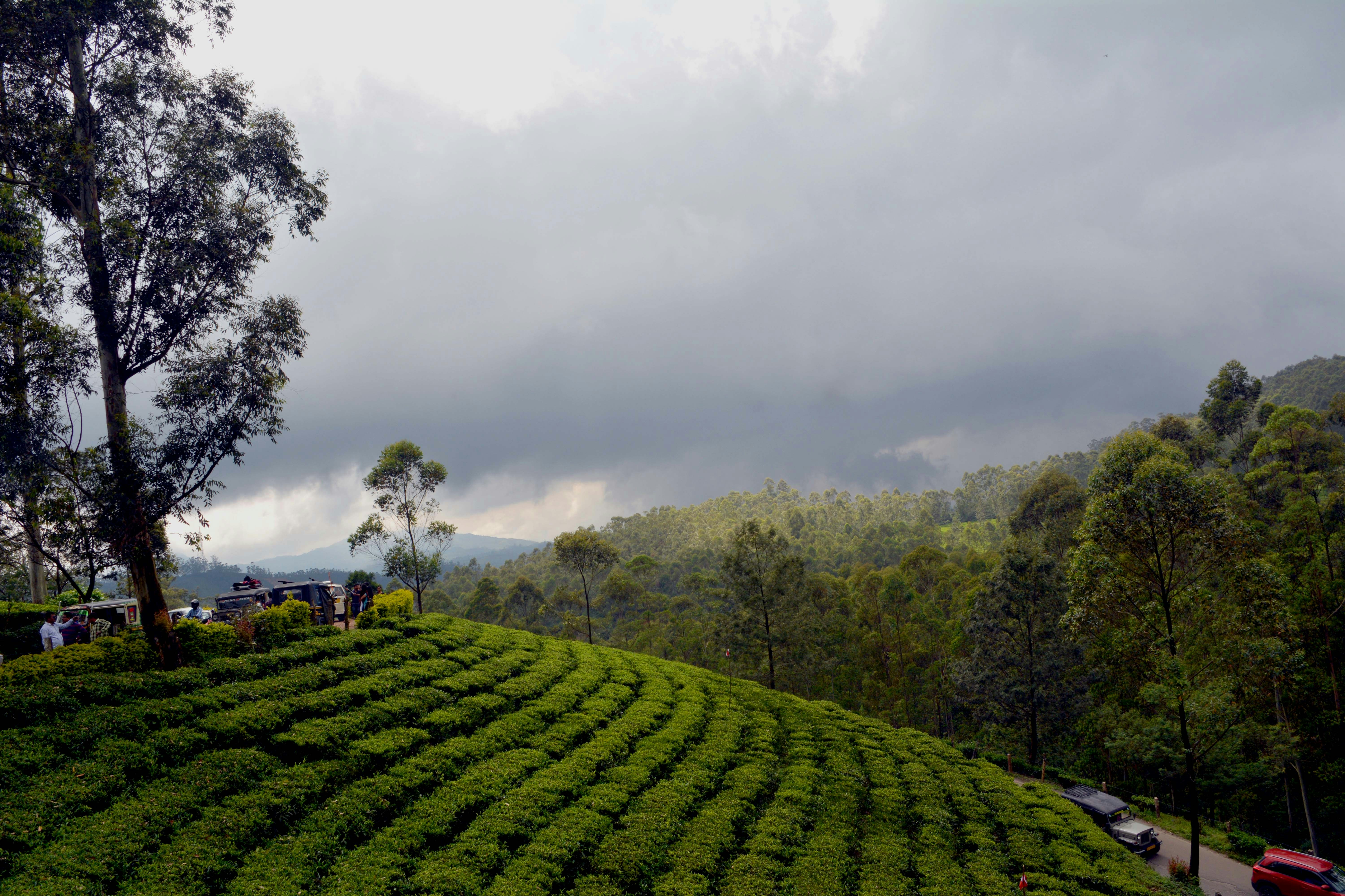 Photo by kajolchandan