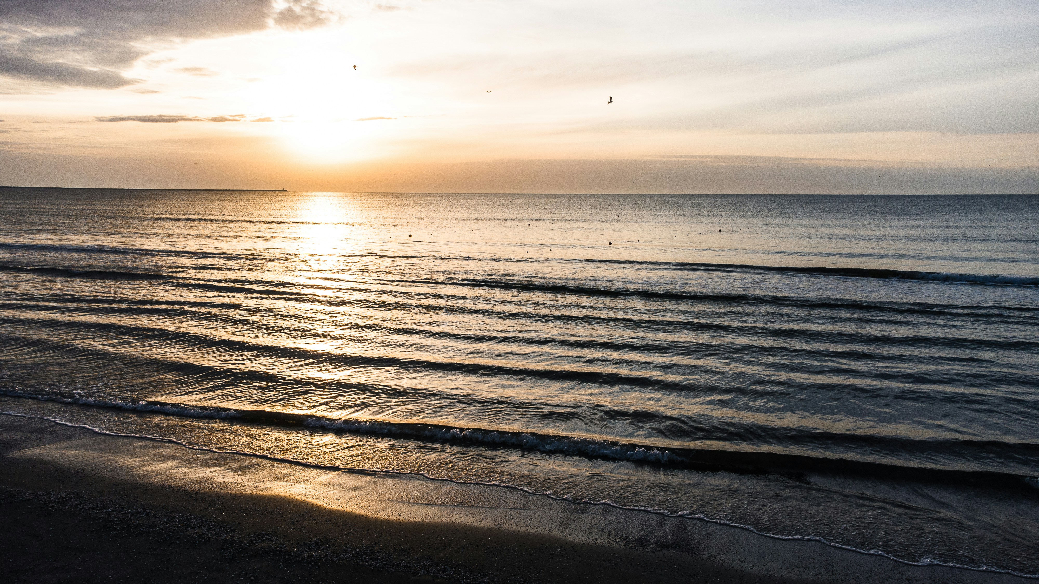 Photo by alexsanislav