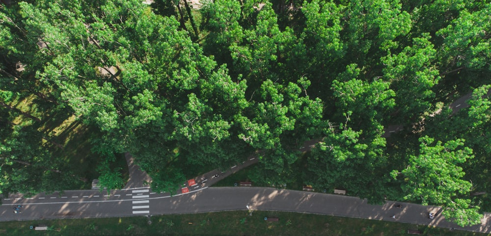 an aerial view of a road surrounded by trees