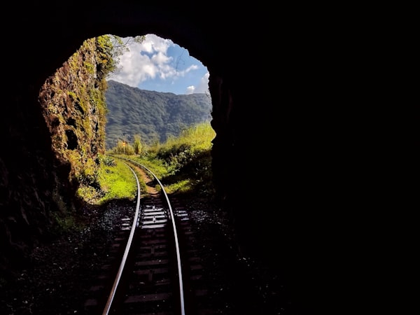 Train tracks extending beyond a darkened tunnel, into lush green grass and a distant forest.